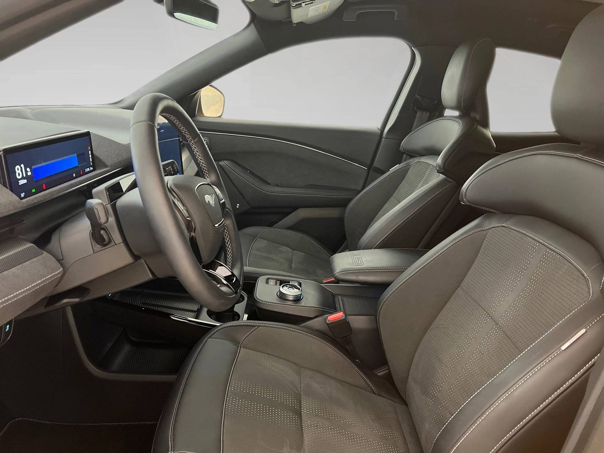 Ford-Mustang Mach-E-image-14