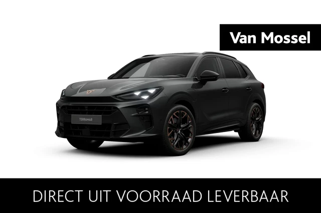 Cupra Terramar