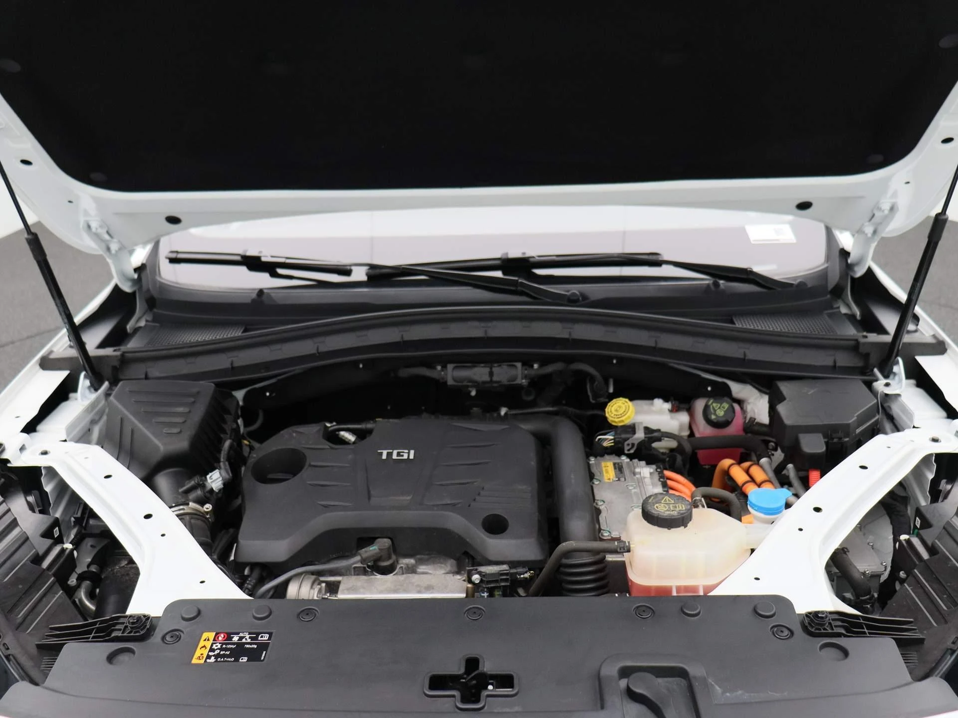 MG-EHS-image-11