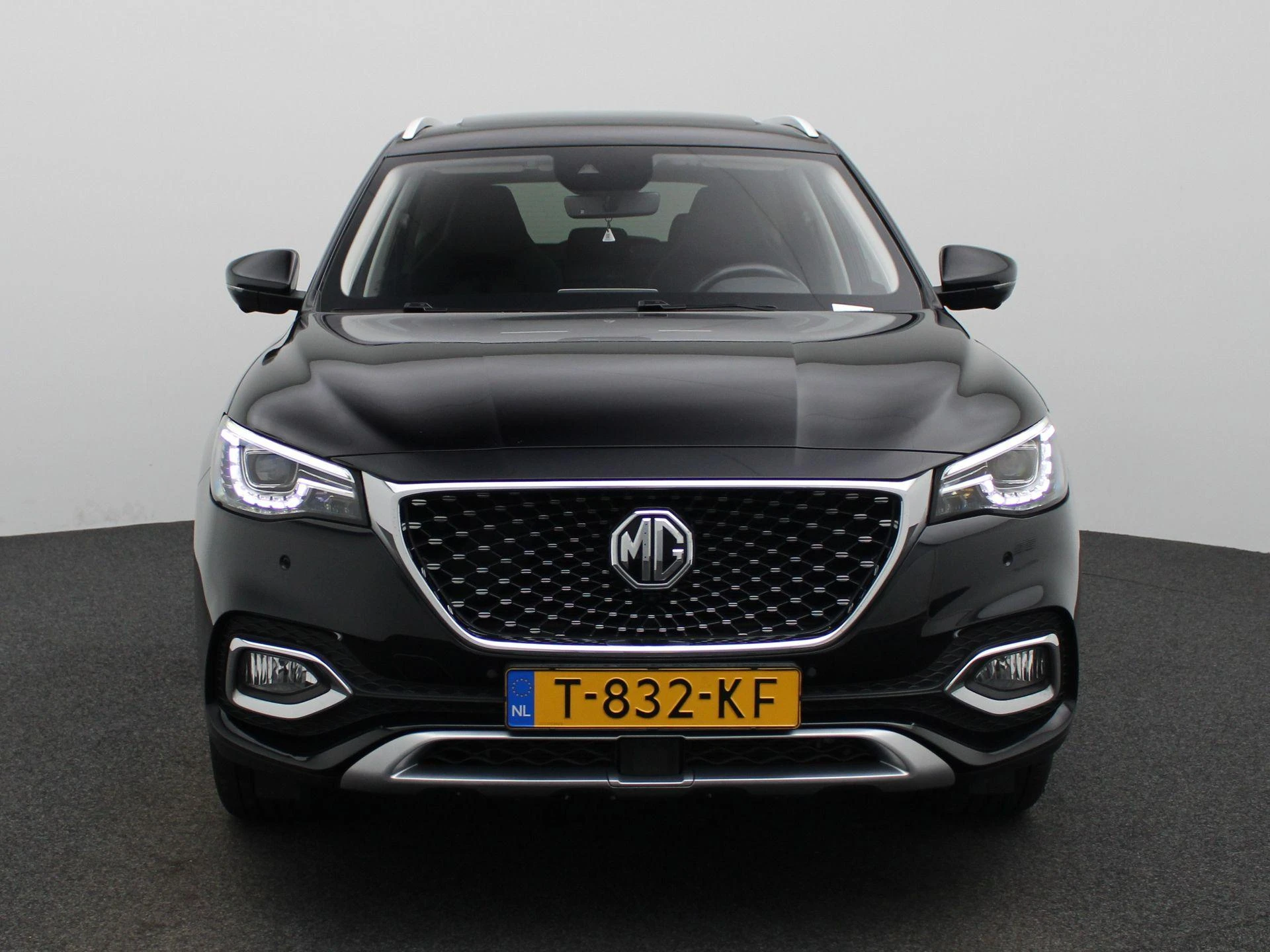 MG-EHS-image-2