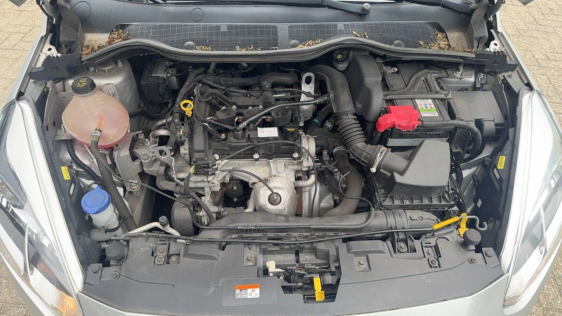 Ford-Fiesta-image-11