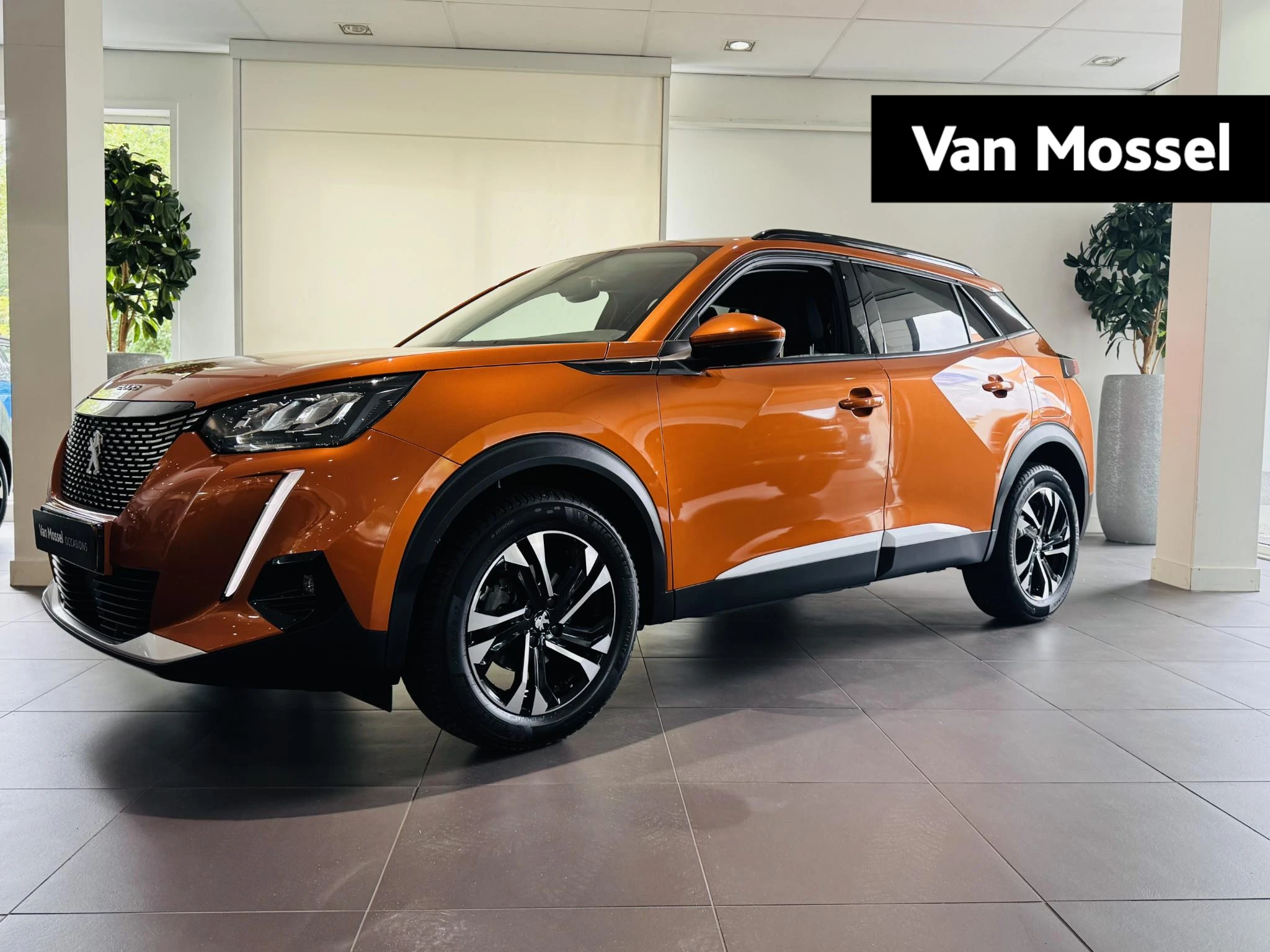 Peugeot-2008-image-0