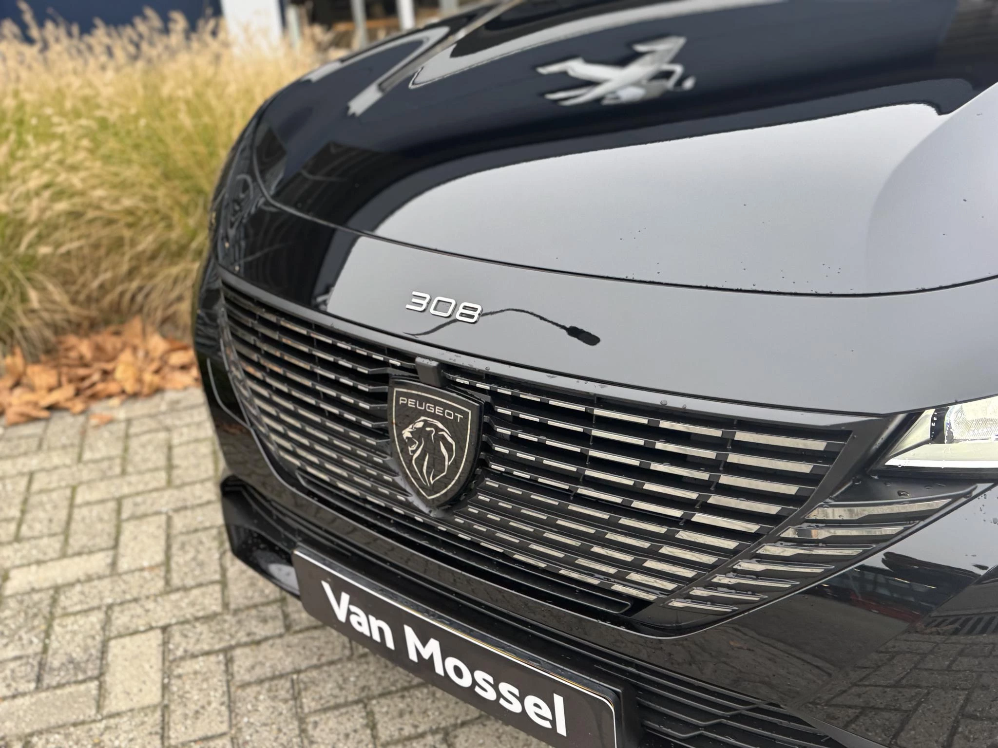 Peugeot e-308