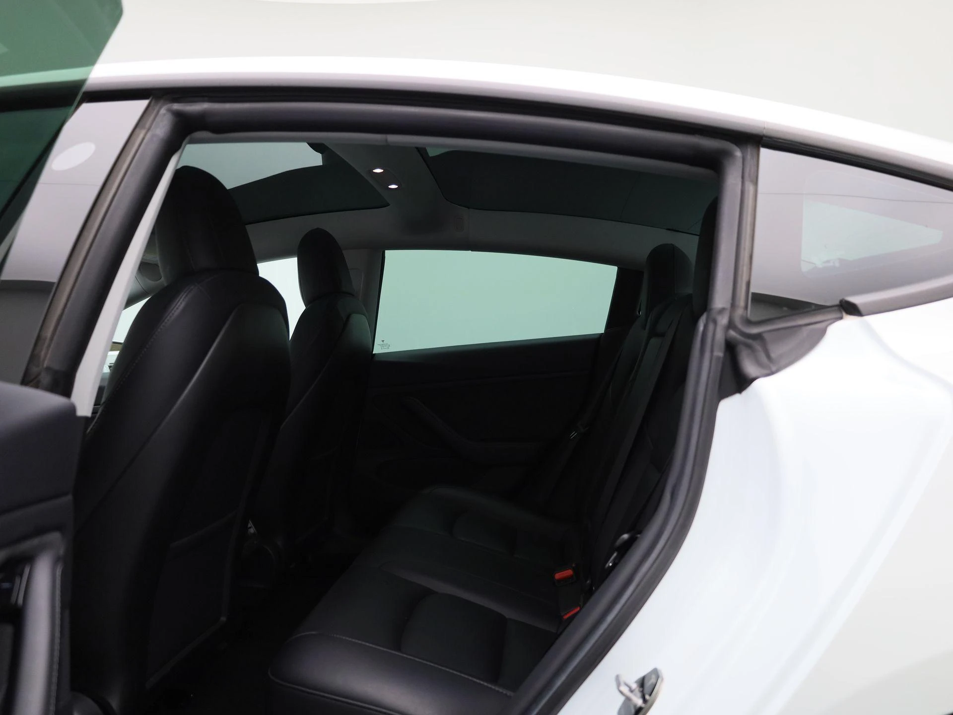 Tesla-Model 3-image-9