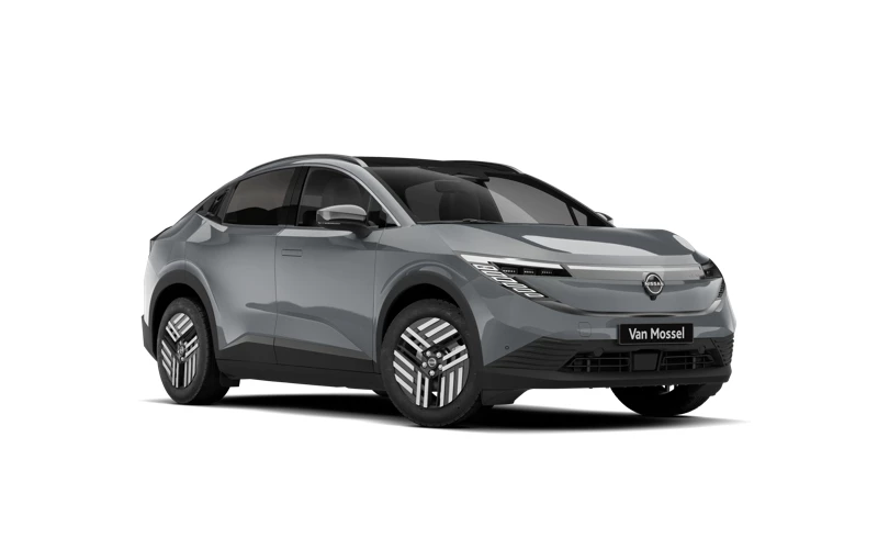 Nissan Leaf 52 kWh 177 1AT Advance + Two Tone