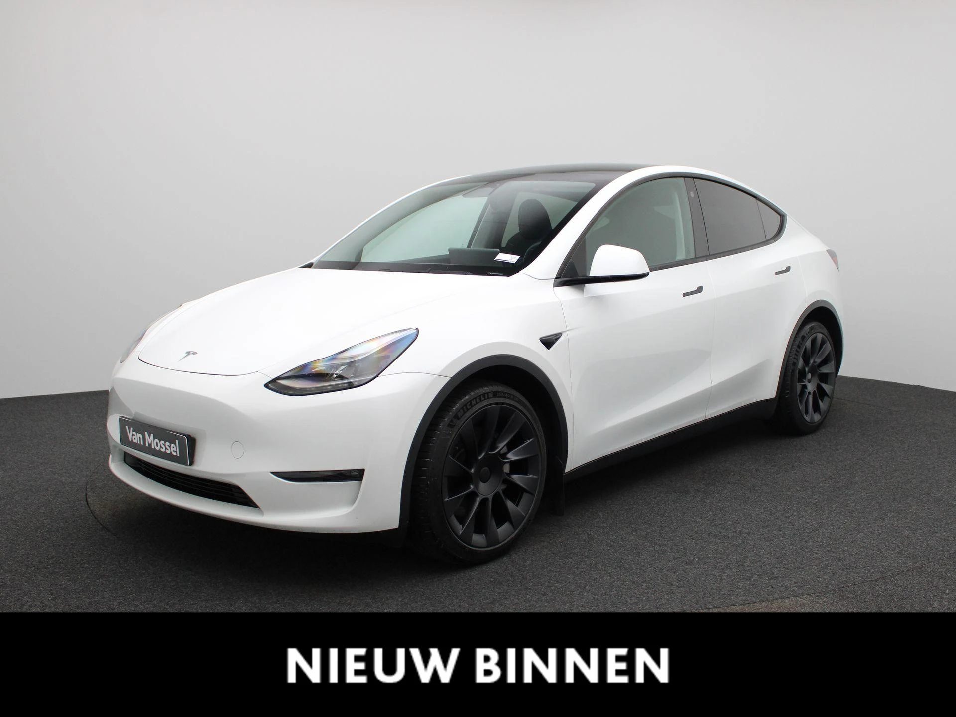 Tesla-Model Y-image-0