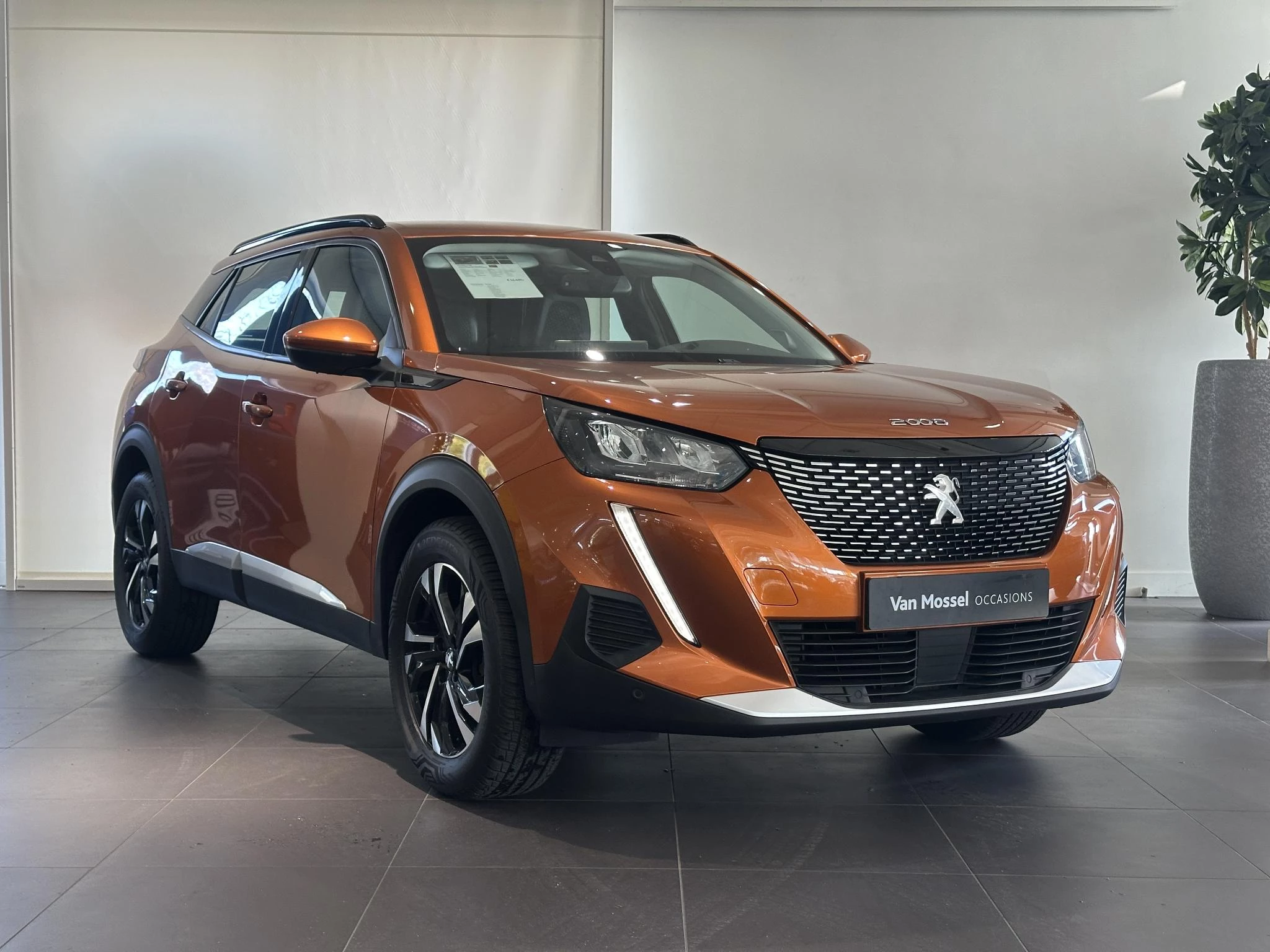 Peugeot-2008-image-3