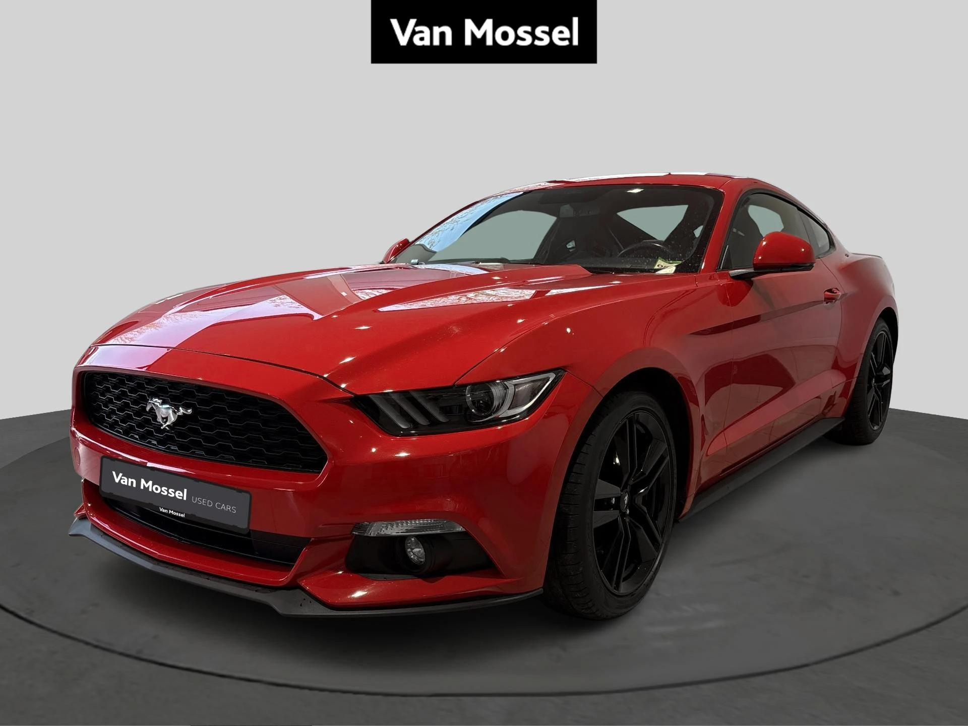 Ford-Mustang-image-0