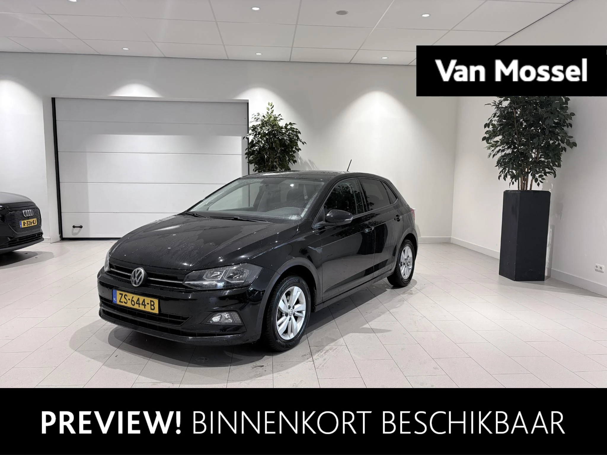 Volkswagen-Polo-image-0