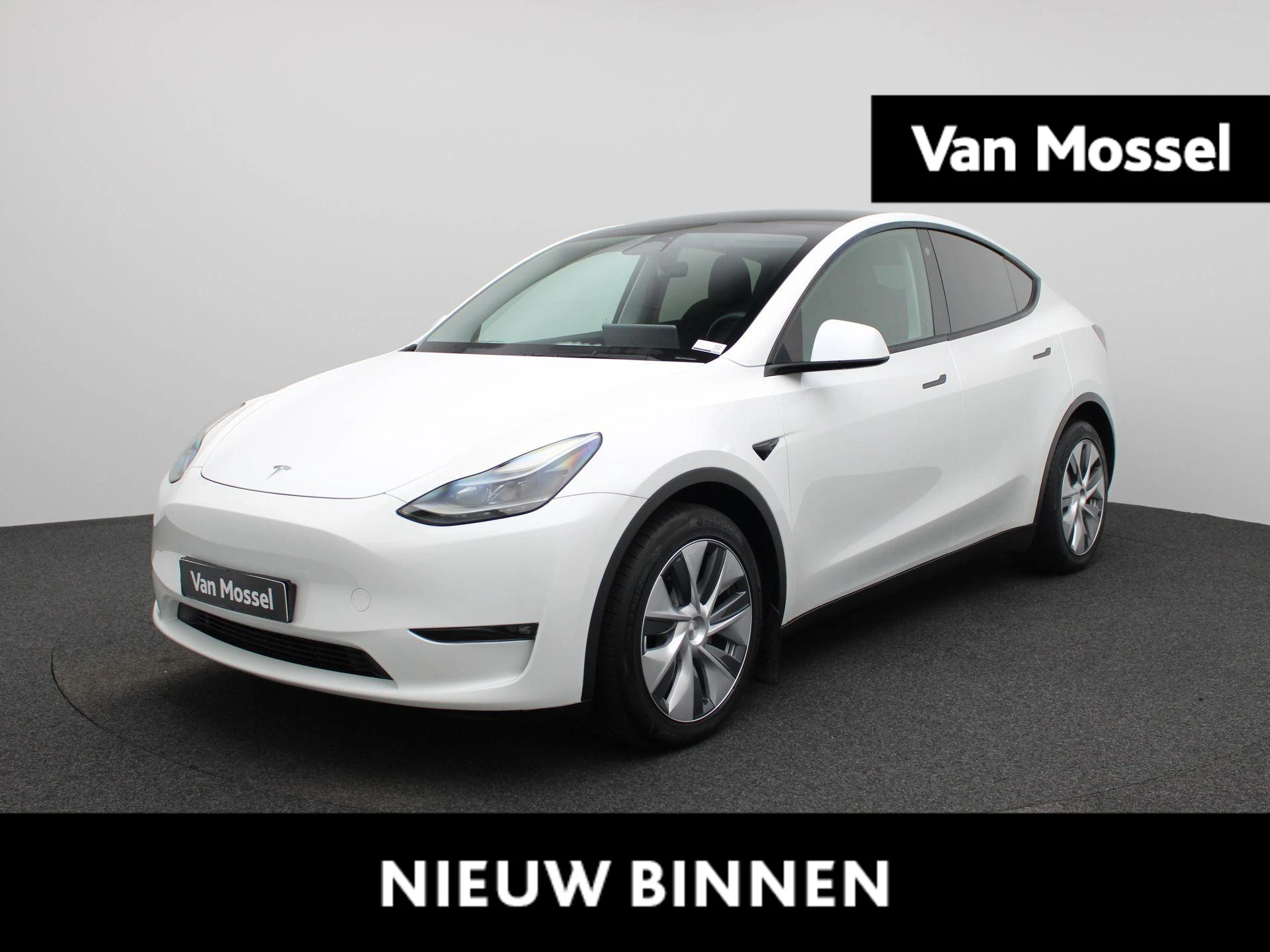 Tesla-Model Y-image-0