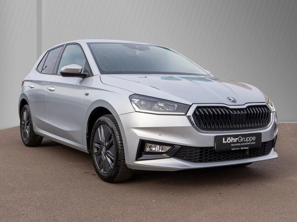 Škoda Fabia 1.0 TSI DSG Tour Navi, Winterpaket