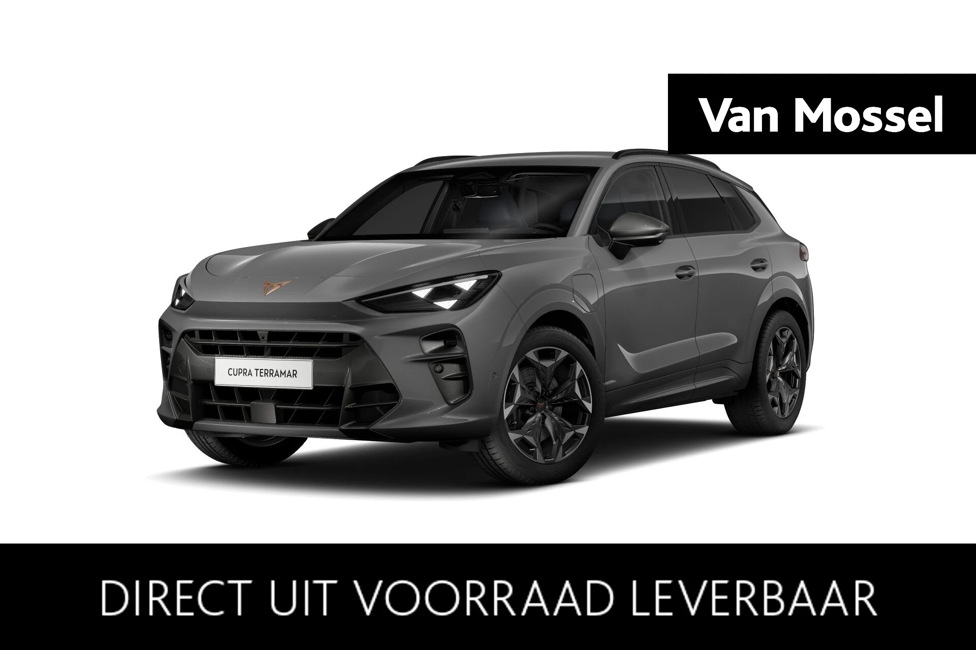 CUPRA-Terramar-image-0