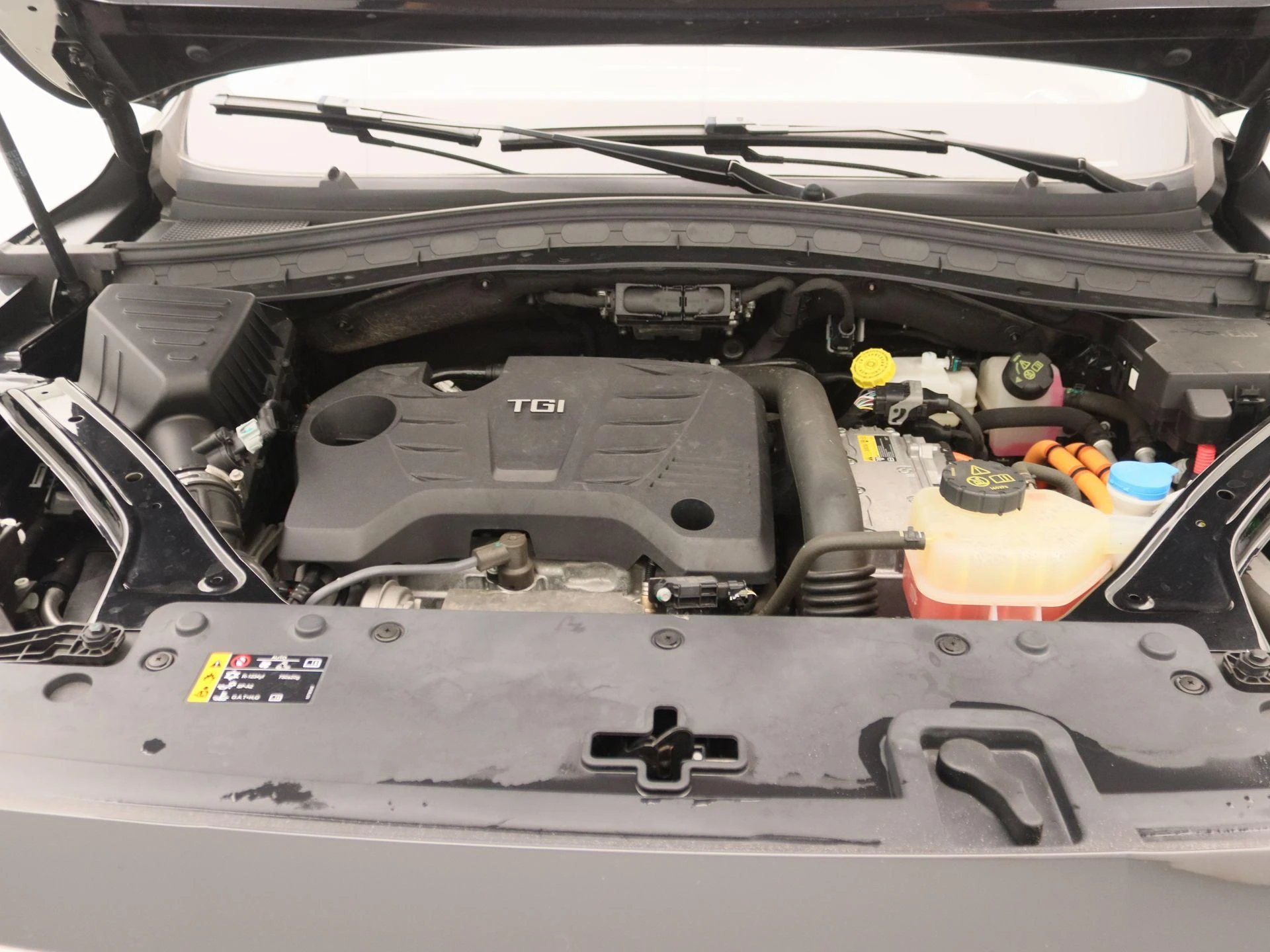 MG-EHS-image-28