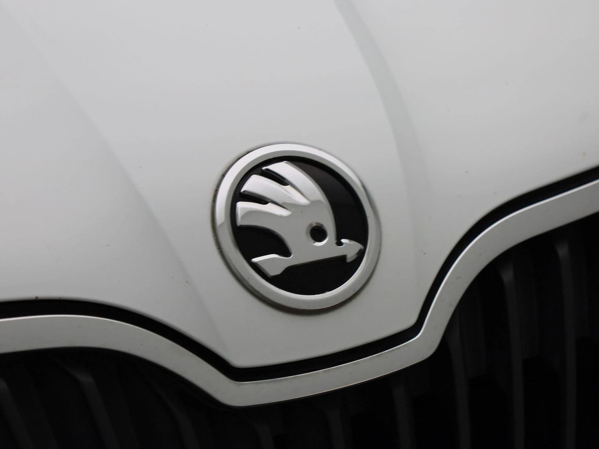 Škoda-Rapid-image-28