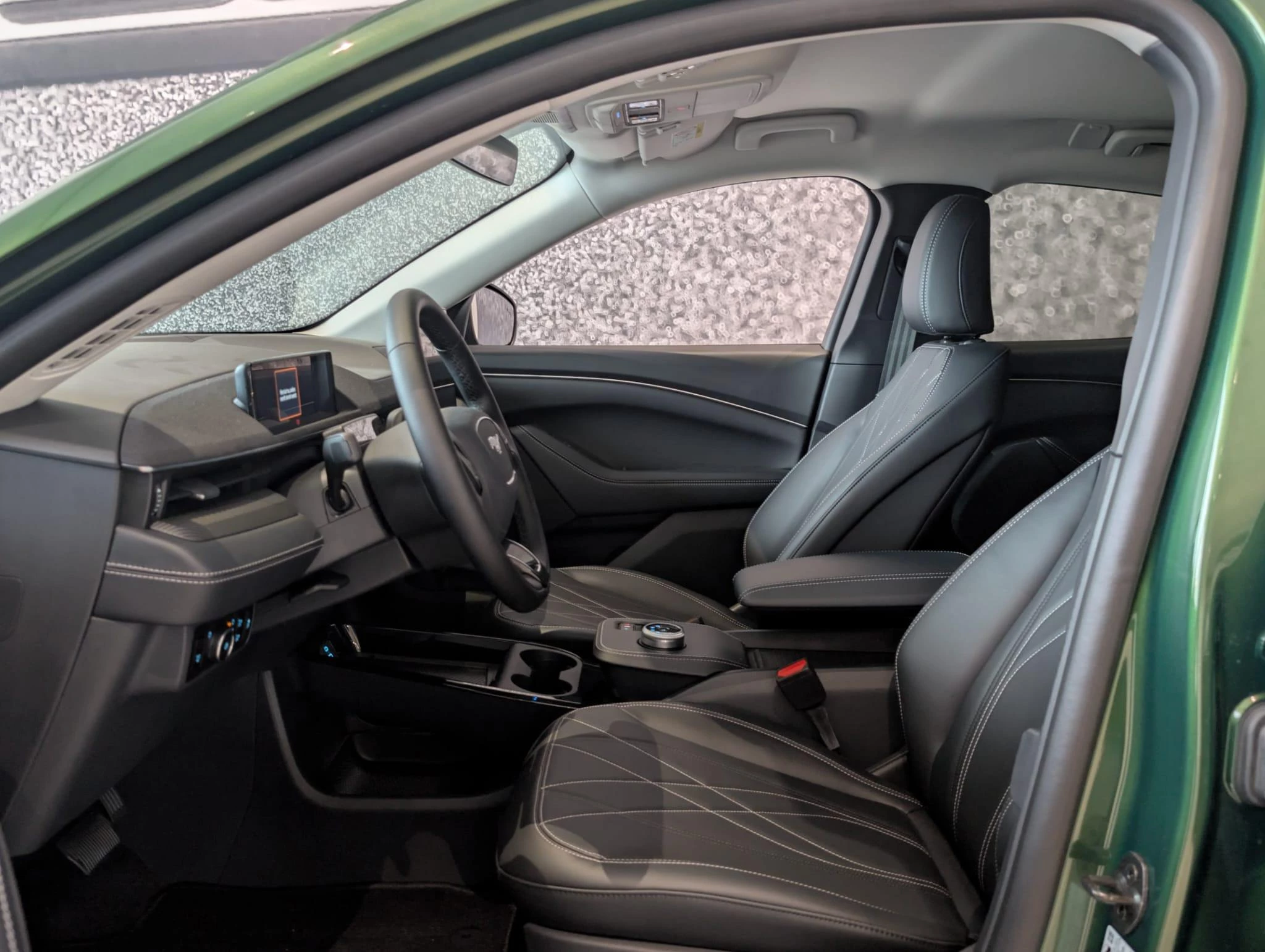 Ford-Mustang Mach-E-image-10