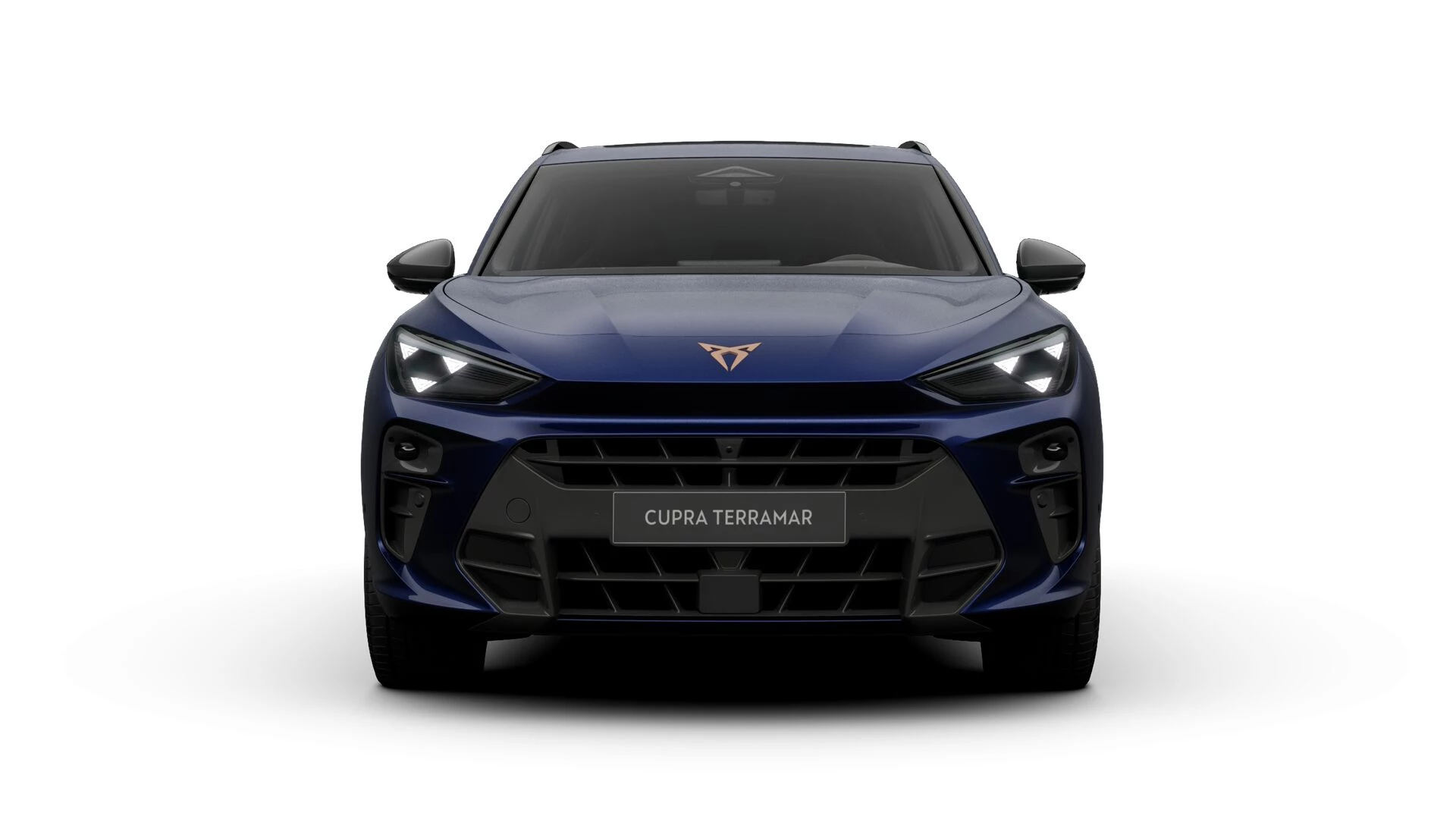 CUPRA Terramar Business