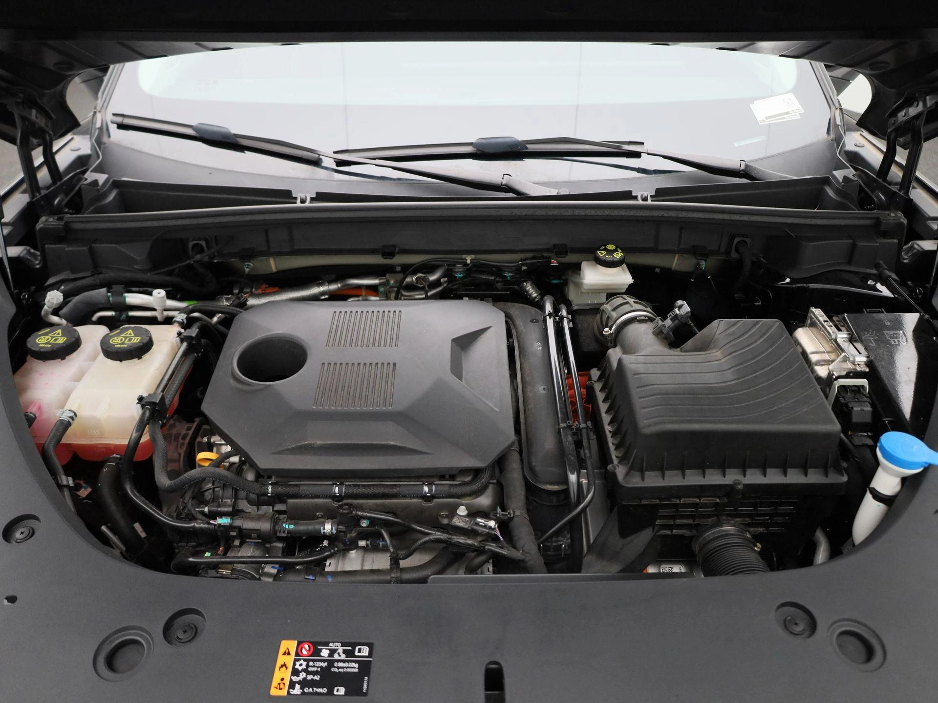 MG-HS-image-37