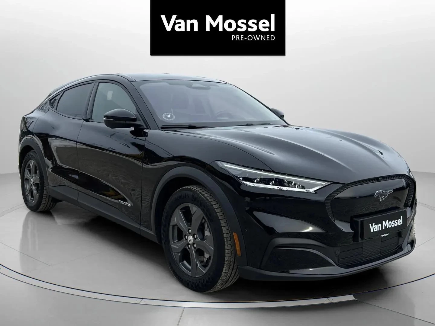 Ford-Mustang Mach-E-image-2