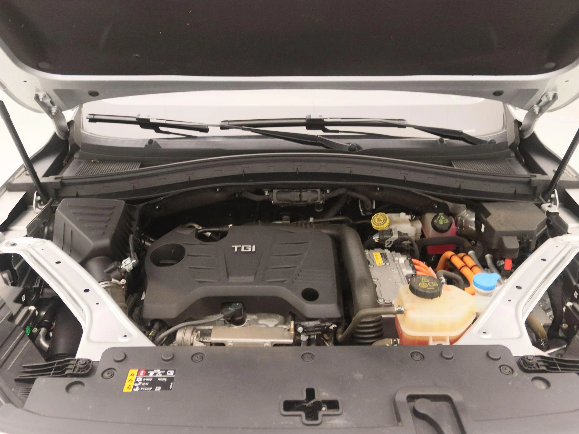 MG-EHS-image-25
