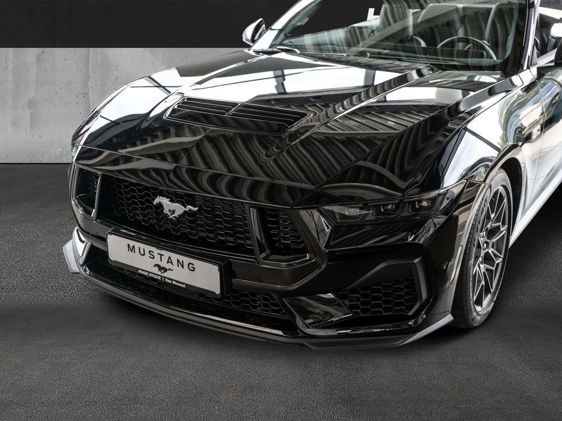 Ford Mustang GT 5.0 Ti-VCT V8 Auto Cabriolet. 328 kW. 2-türig
