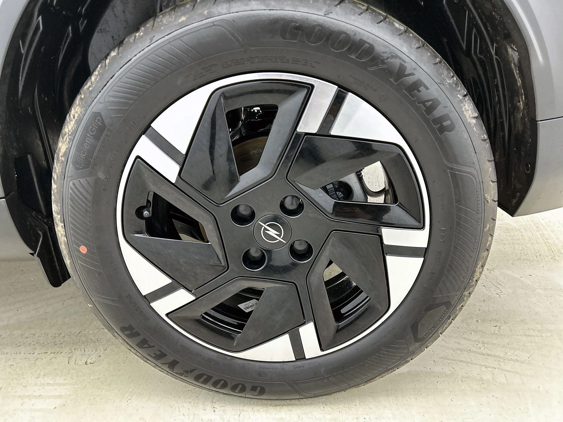 Opel-Frontera-image-35