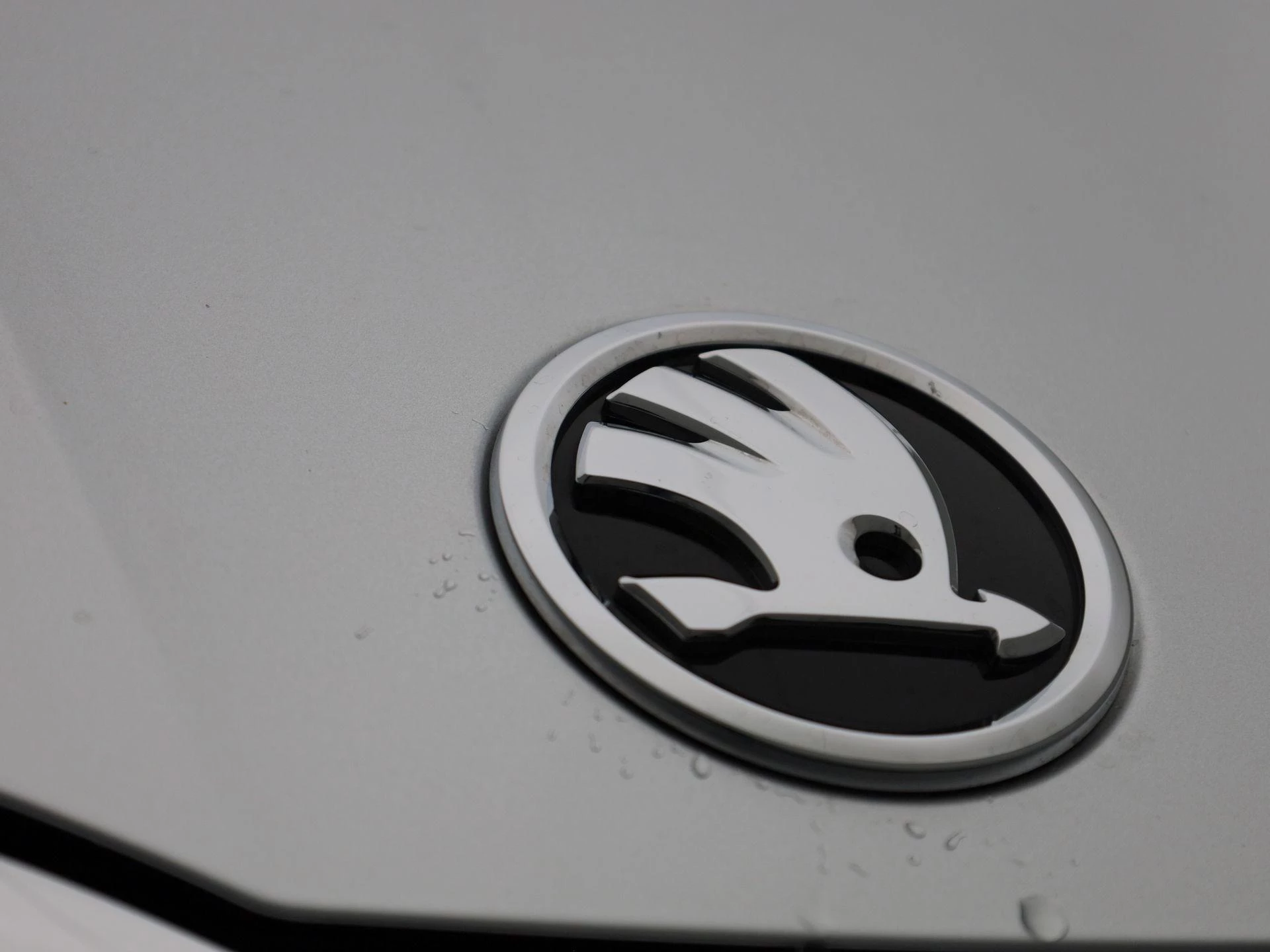 Škoda-Fabia-image-37