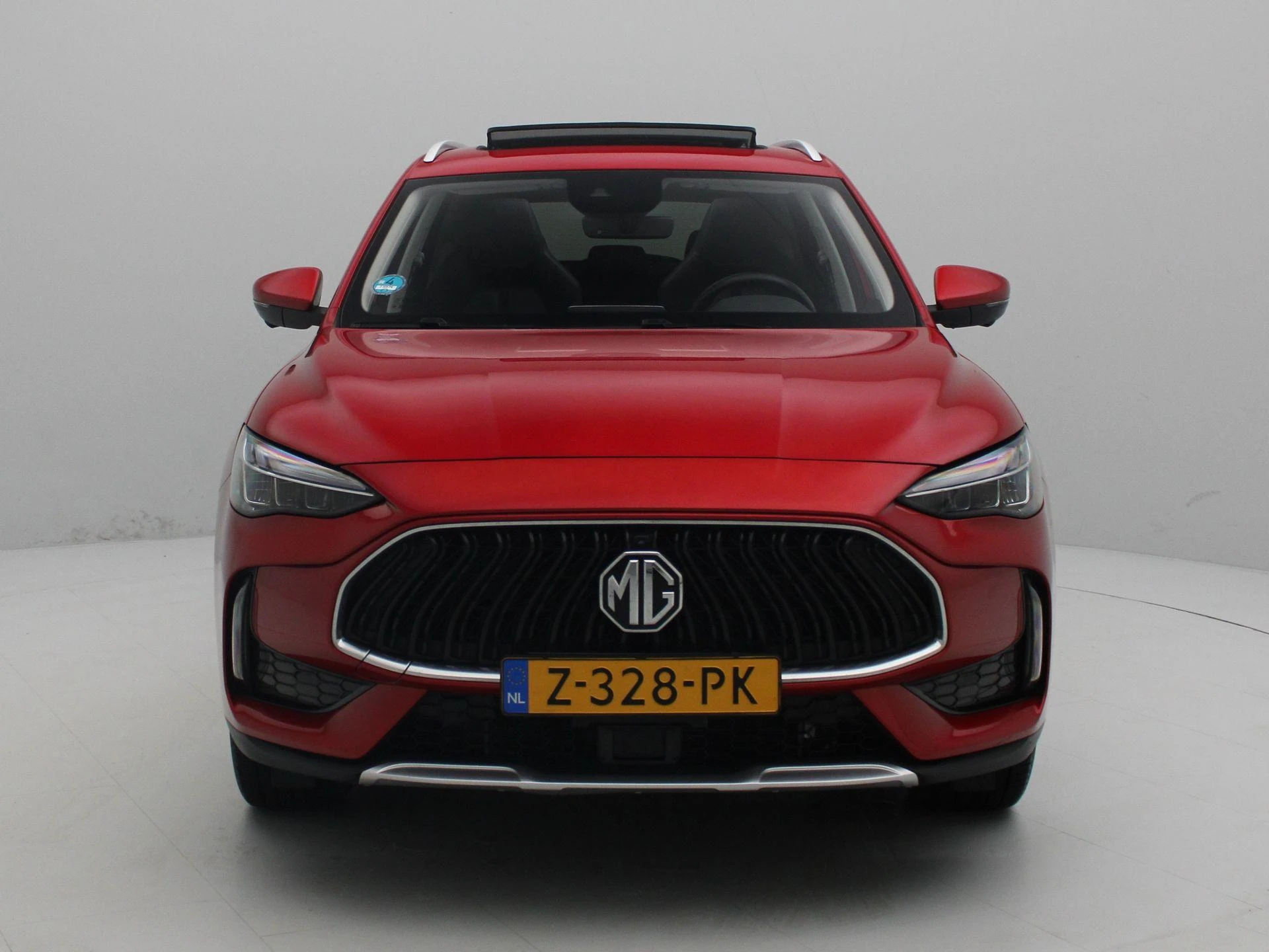 MG-EHS-image-3