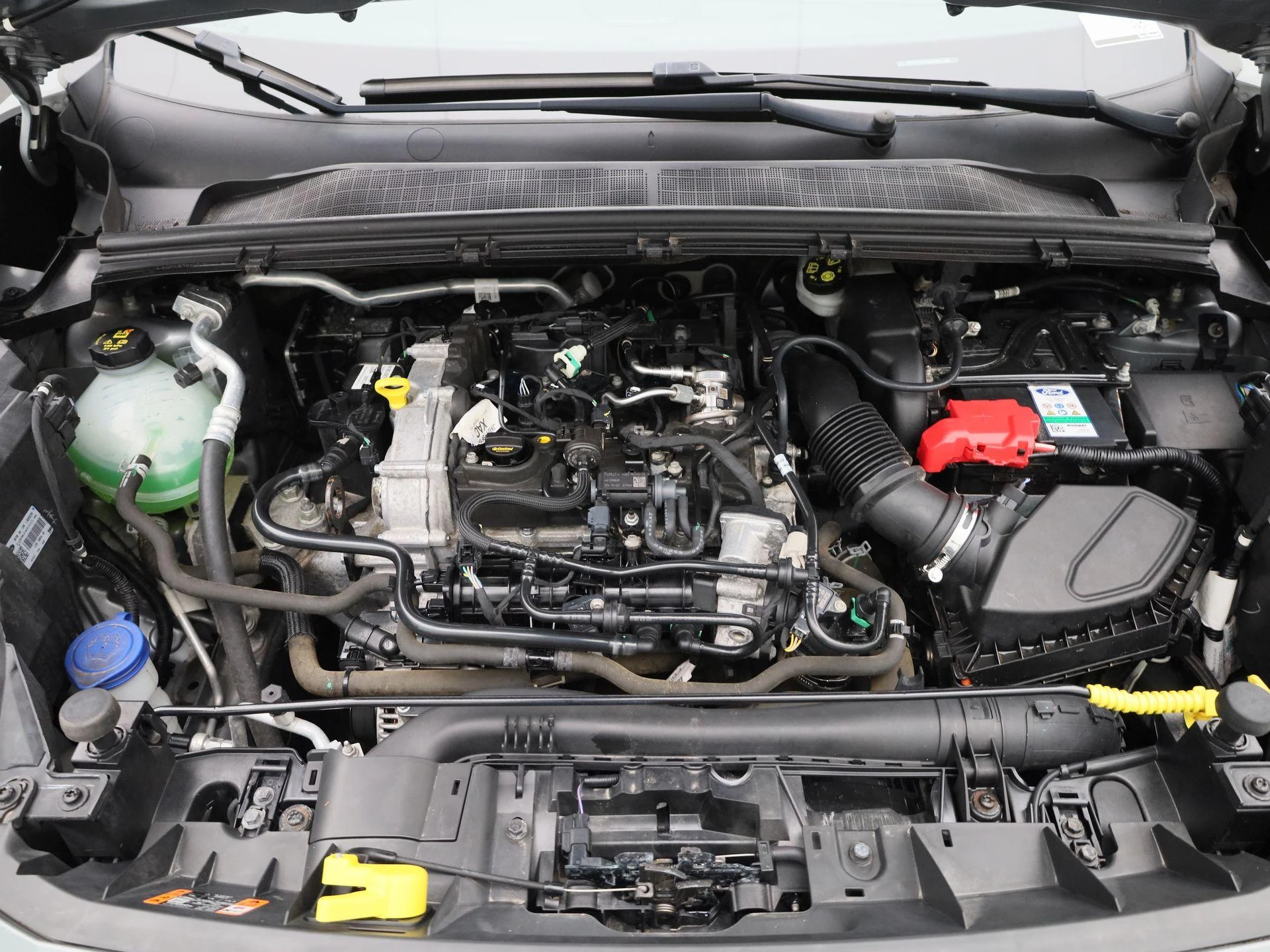 Ford-Puma-image-34
