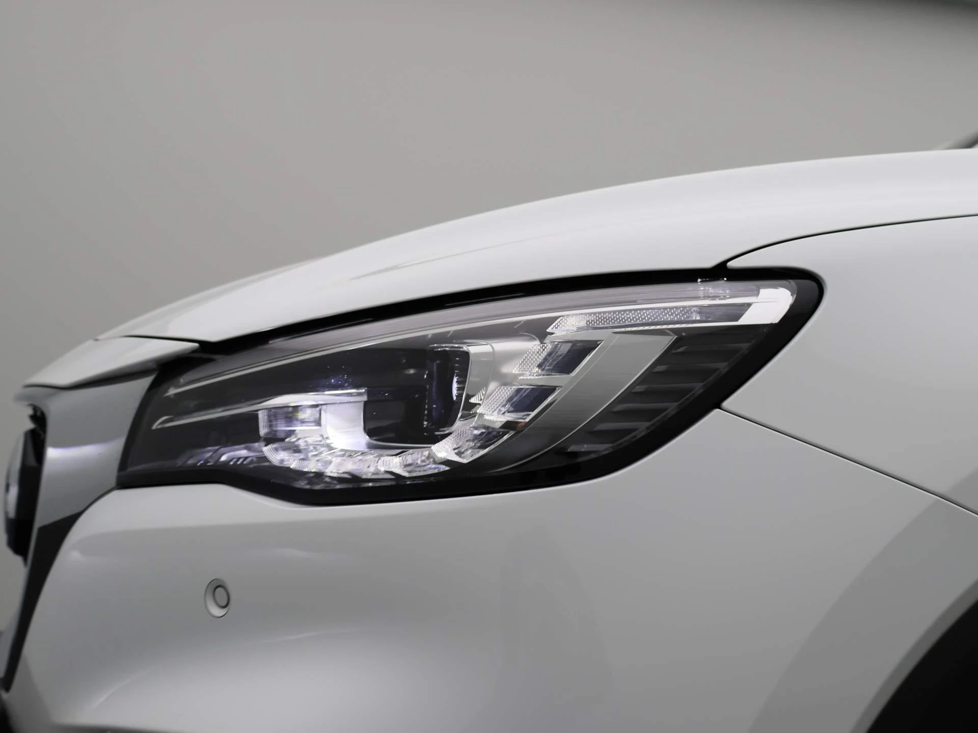 MG-EHS-image-7