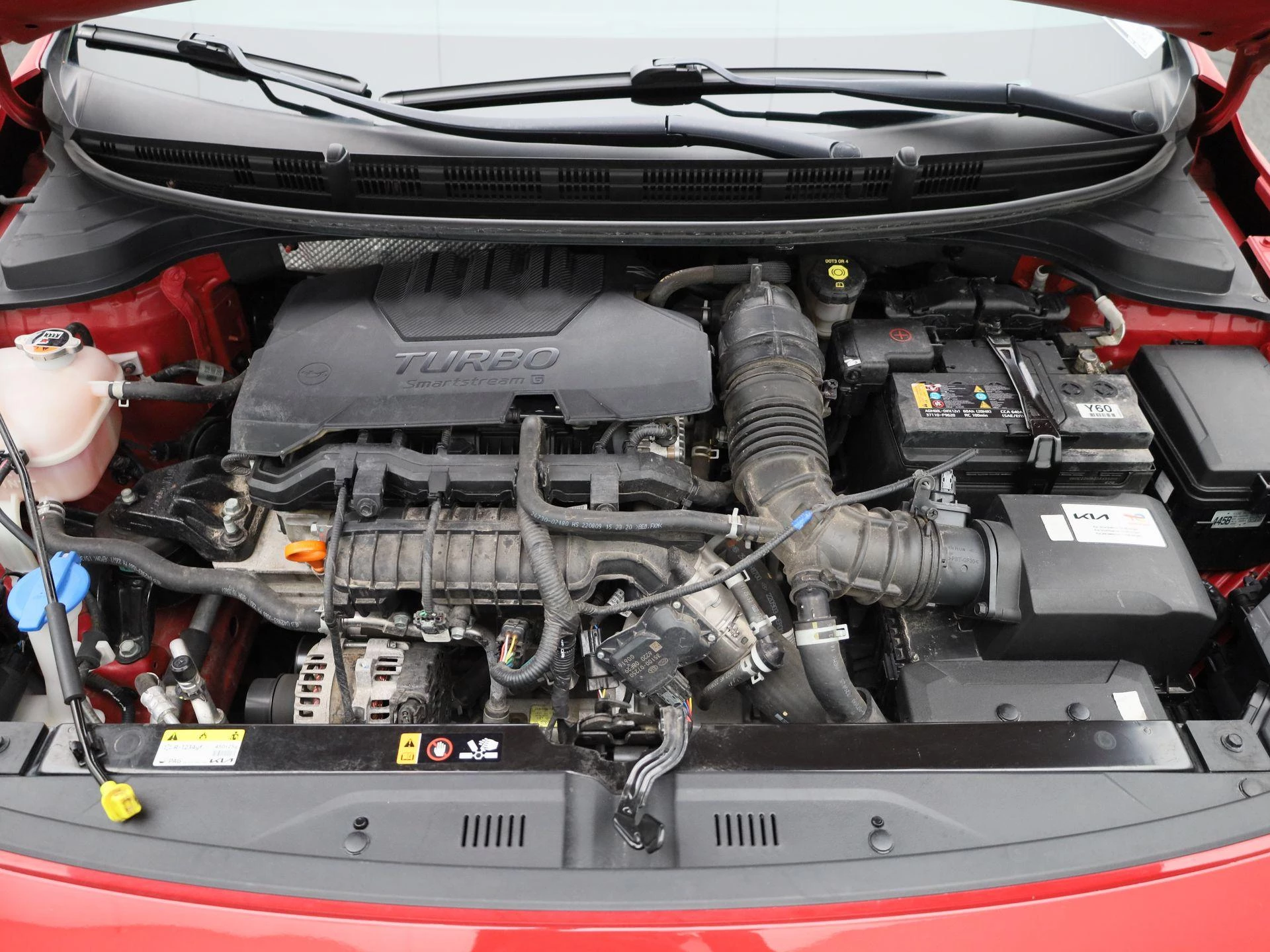 Kia Rio 1.0 T-GDi MHEV DynamicPlusLine