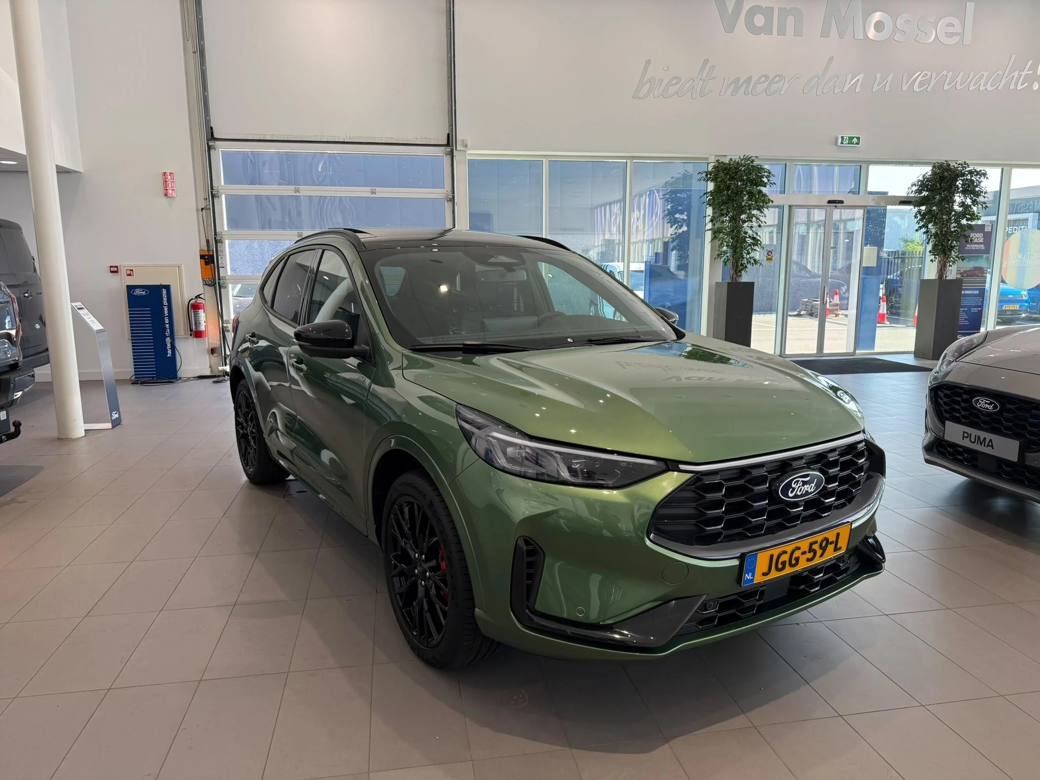 Ford-Kuga-image-2