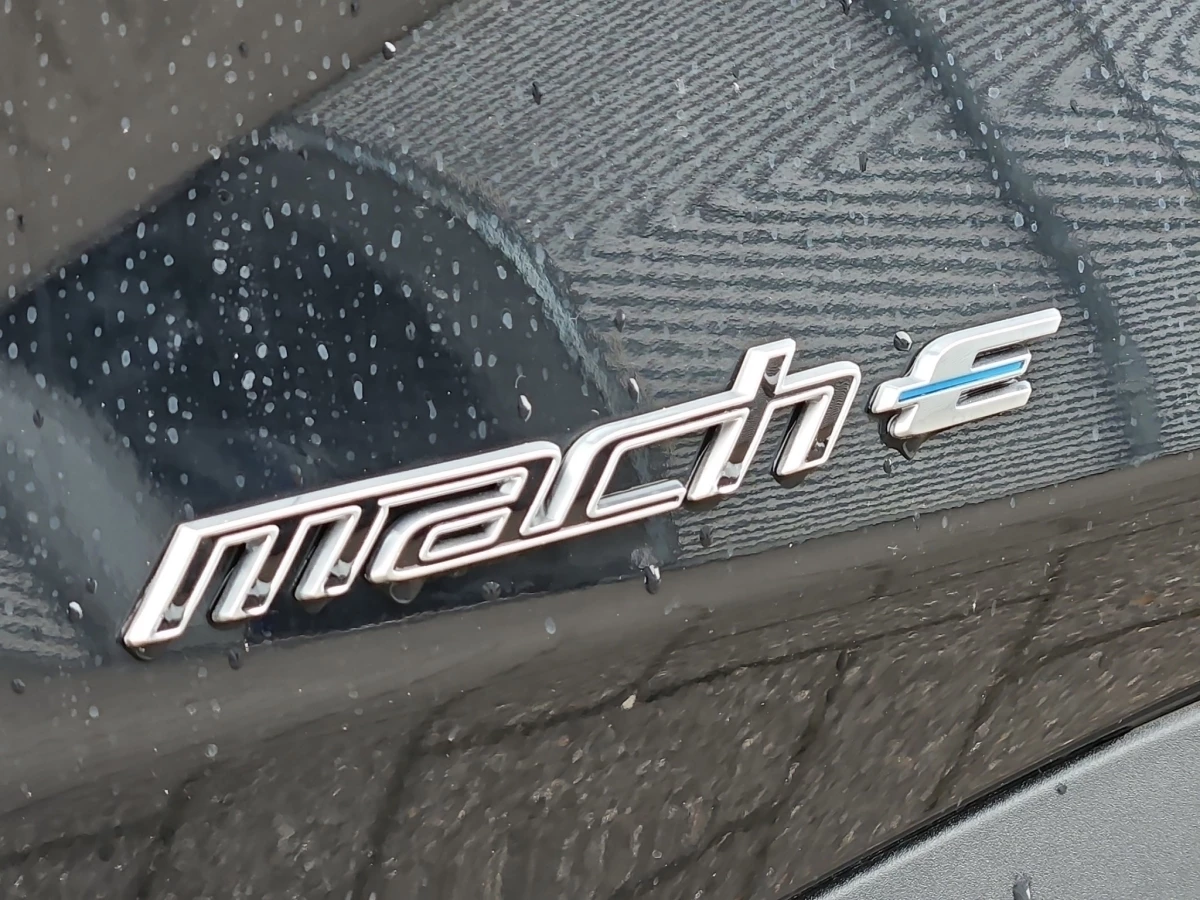 Ford-Mustang Mach-E-image-20