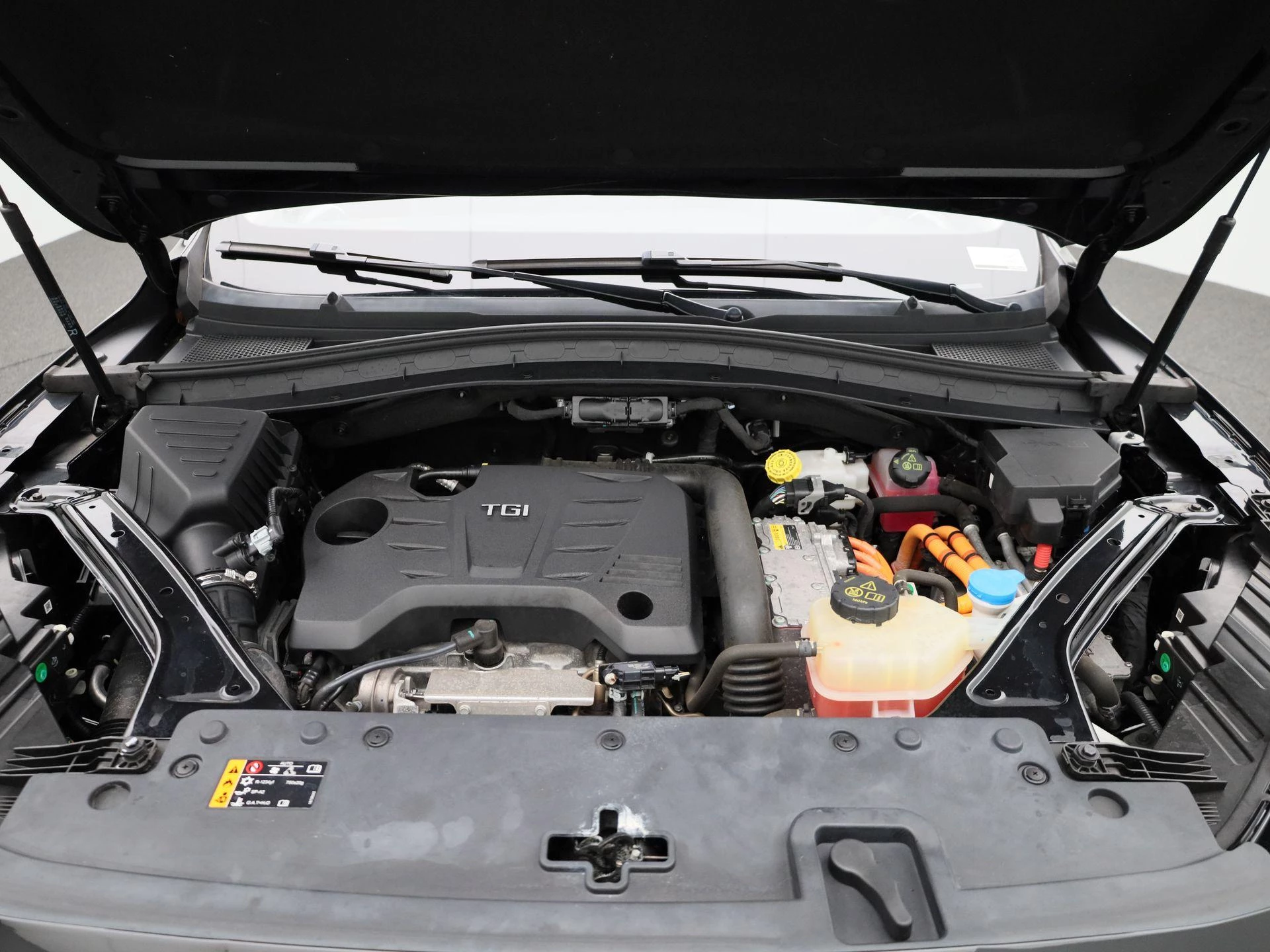 MG-EHS-image-41