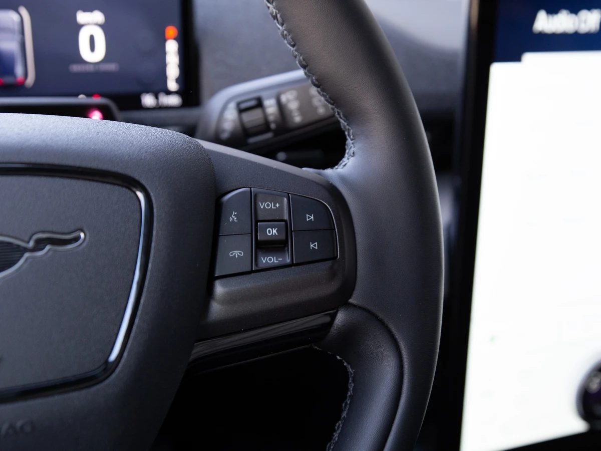 Ford-Mustang Mach-E-image-20