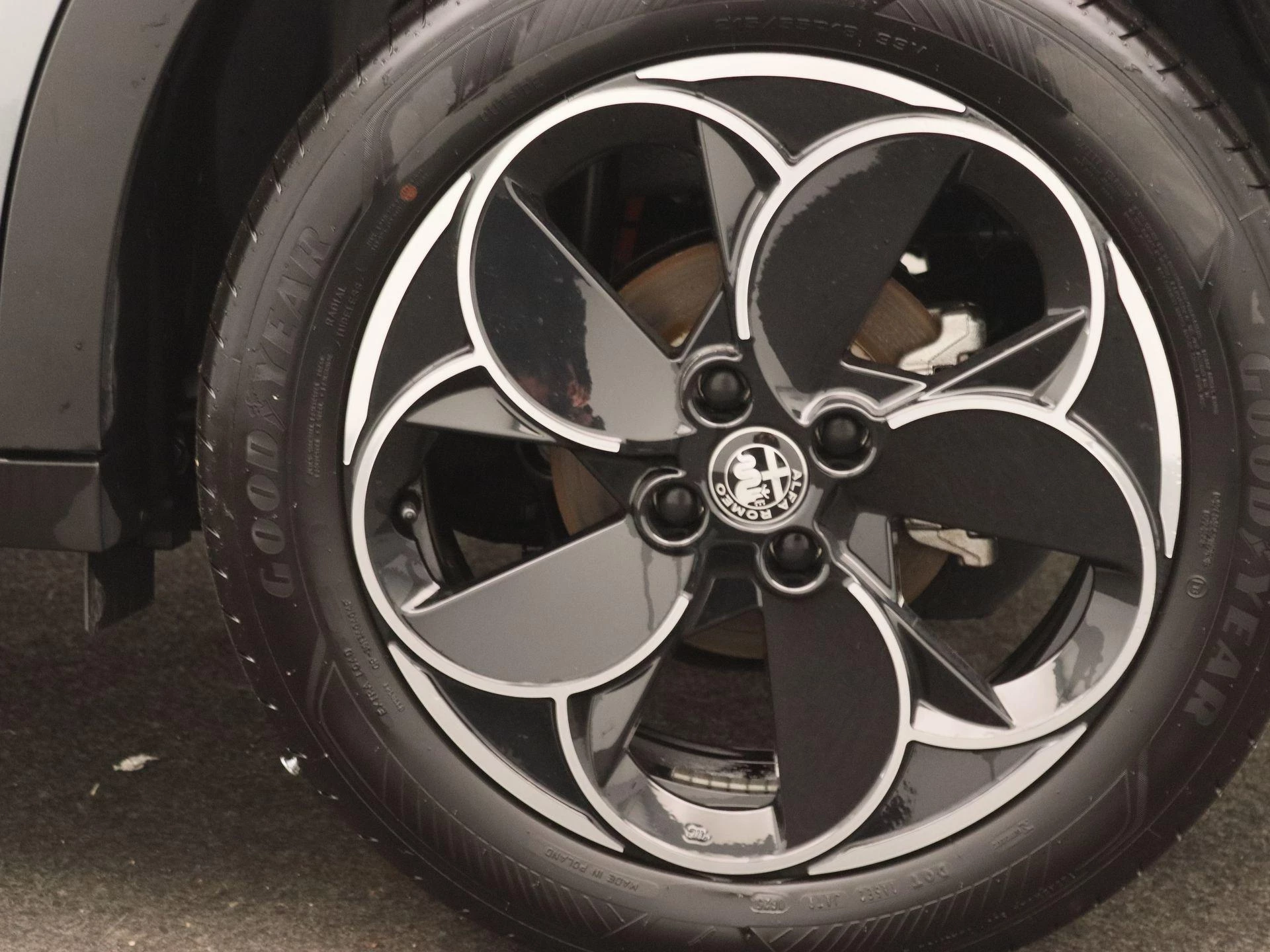 Alfa Romeo-Junior-image-15