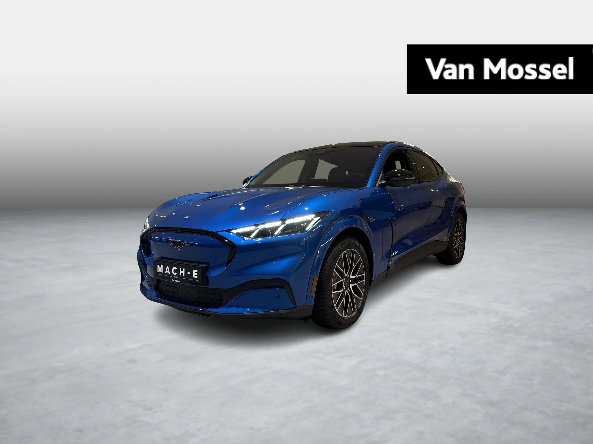 Ford-Mustang Mach-E-image-0