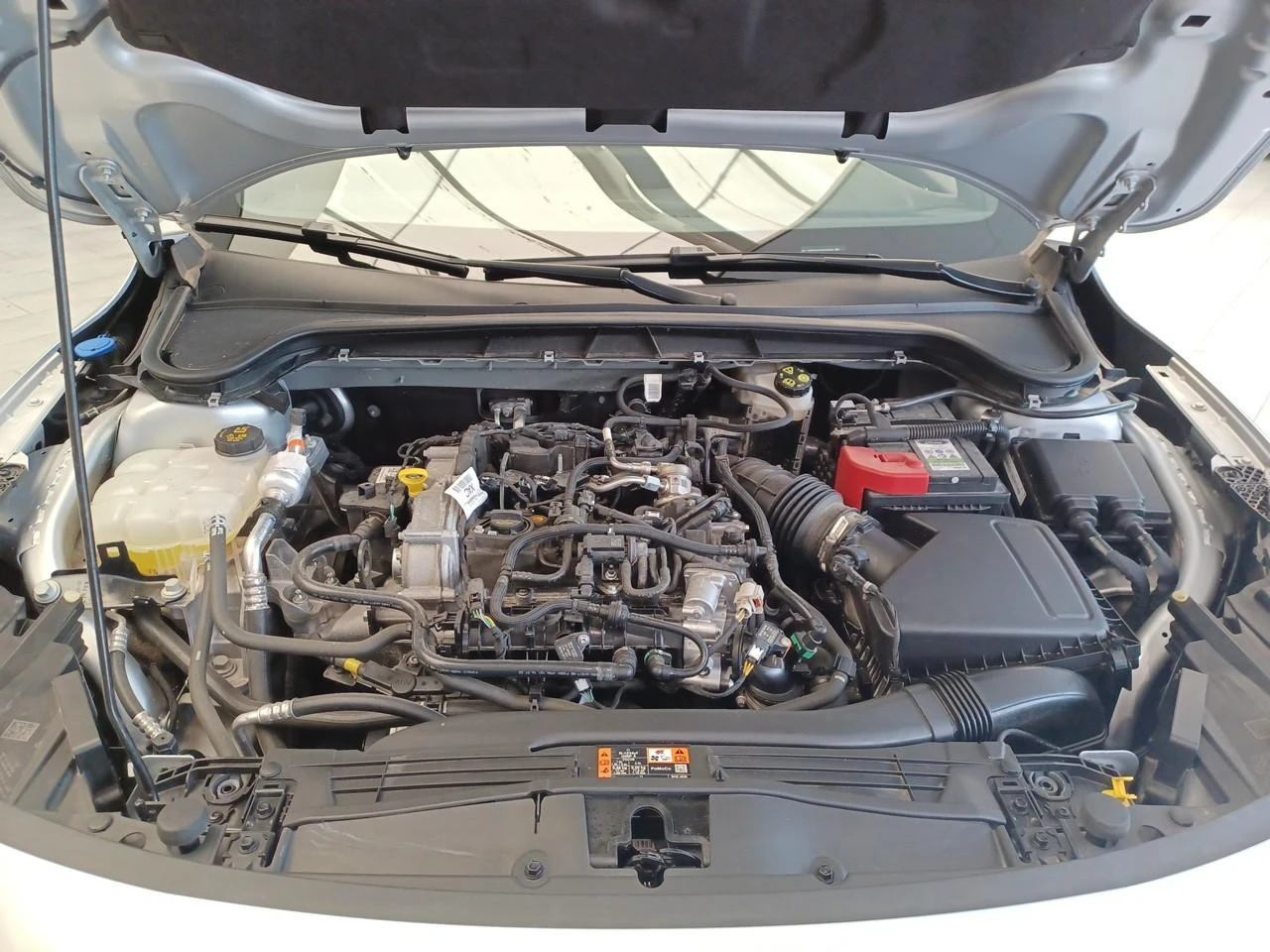 Ford-Focus-image-20