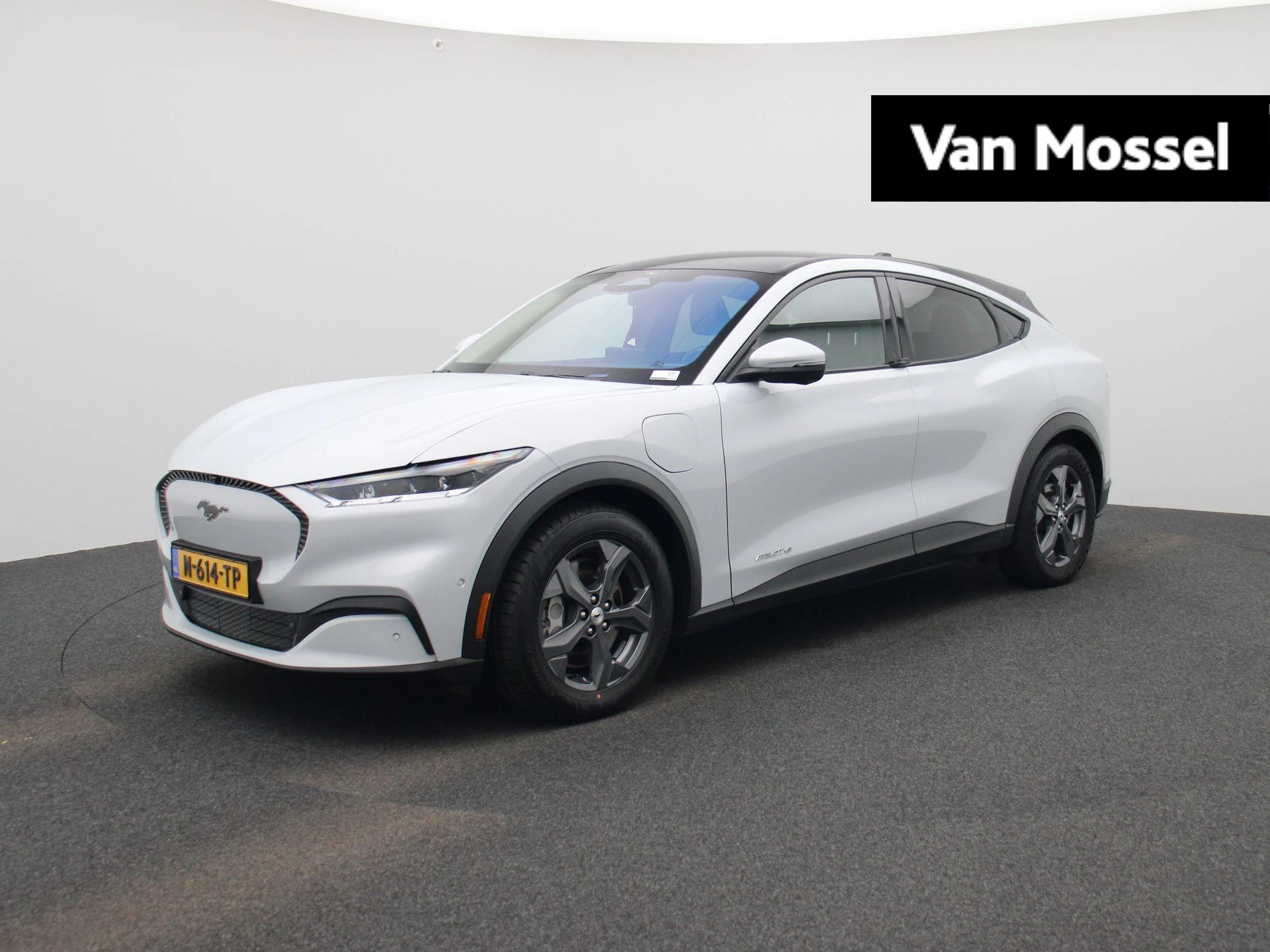 Ford-Mustang Mach-E-image-0