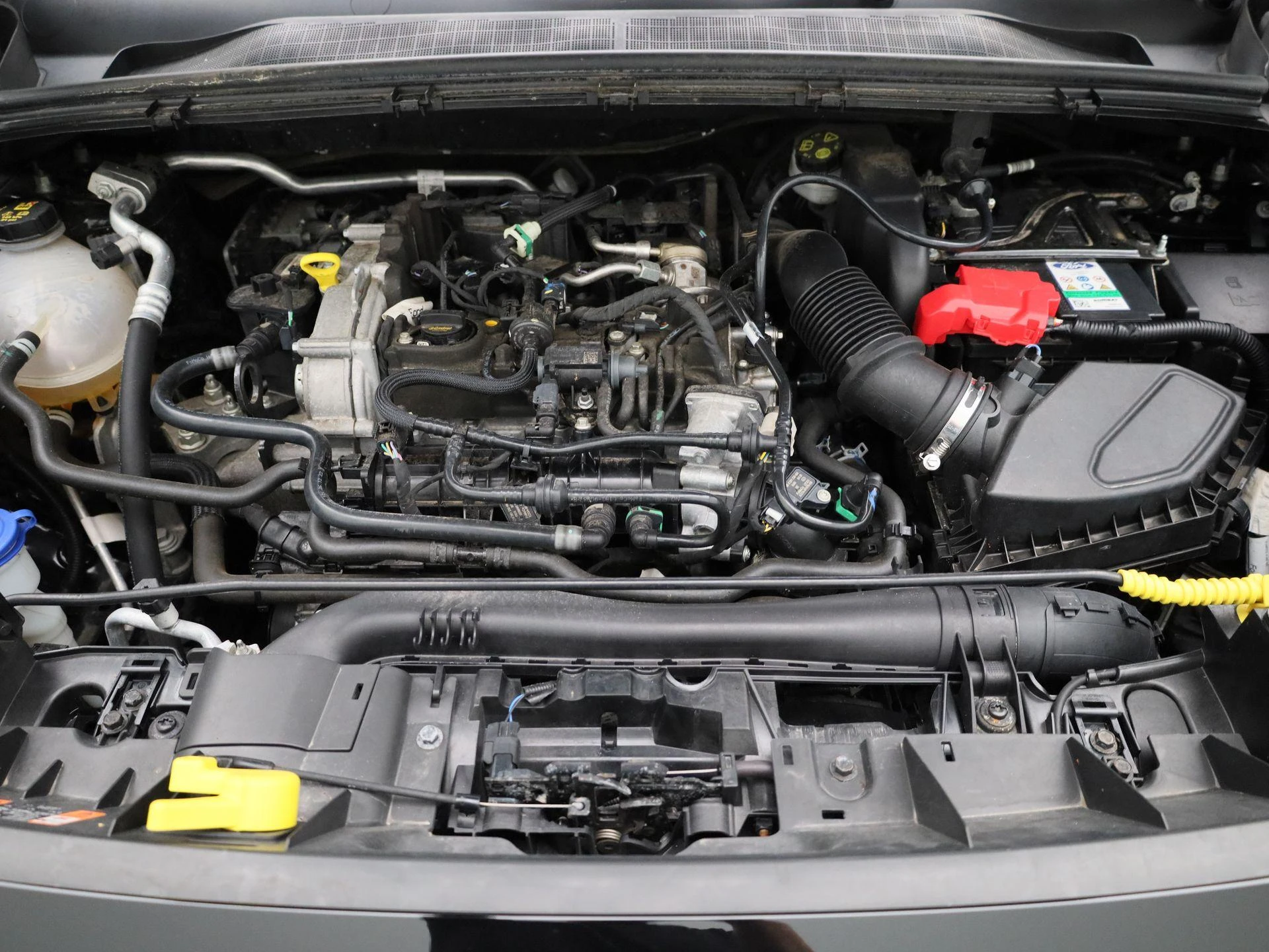 Ford-Puma-image-32