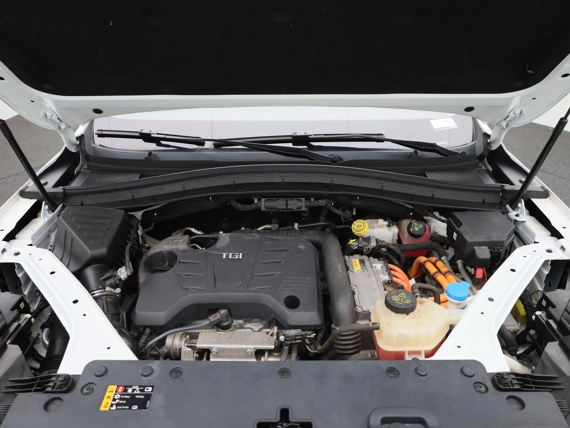 MG-EHS-image-34