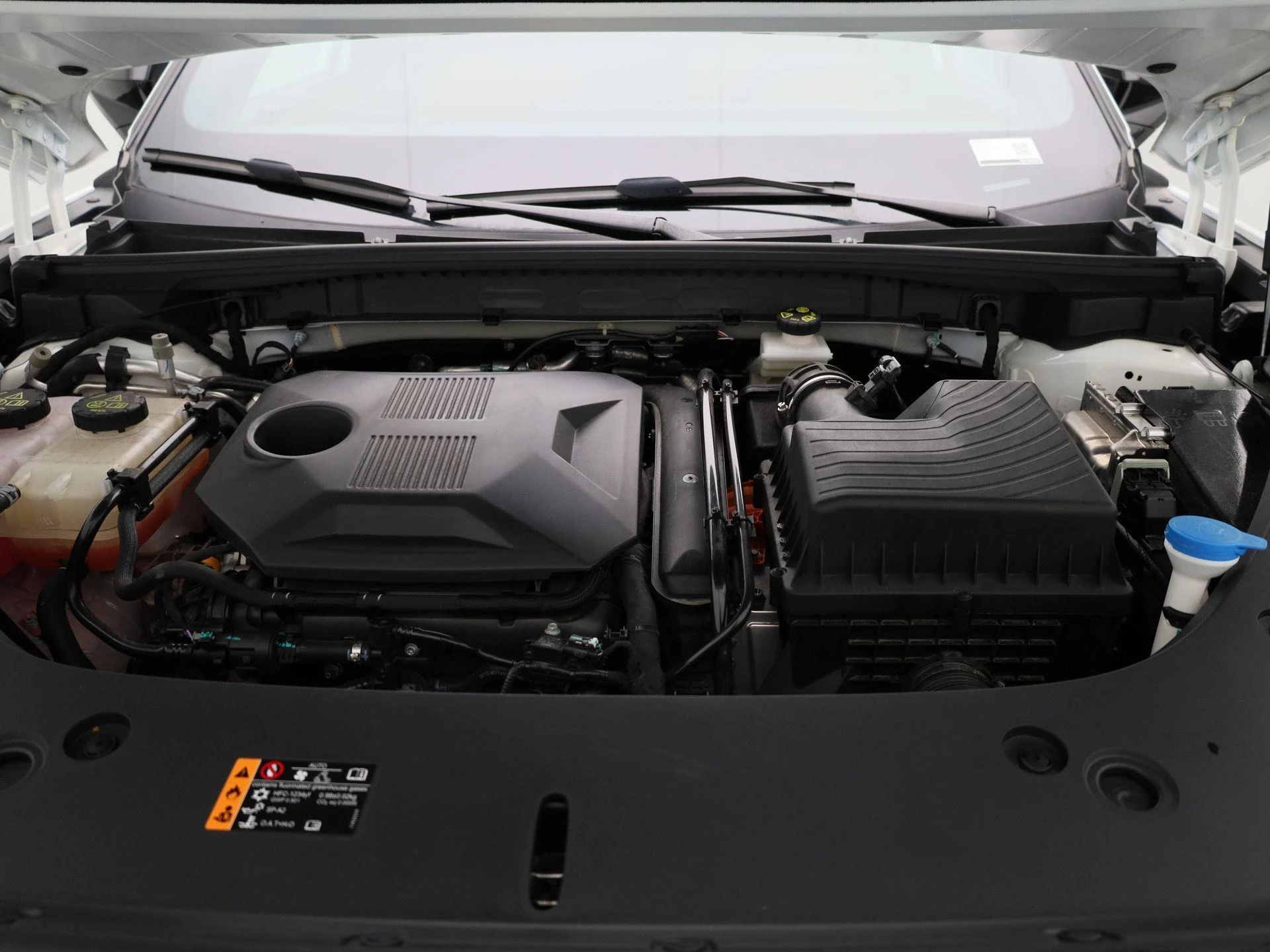 MG-HS-image-36