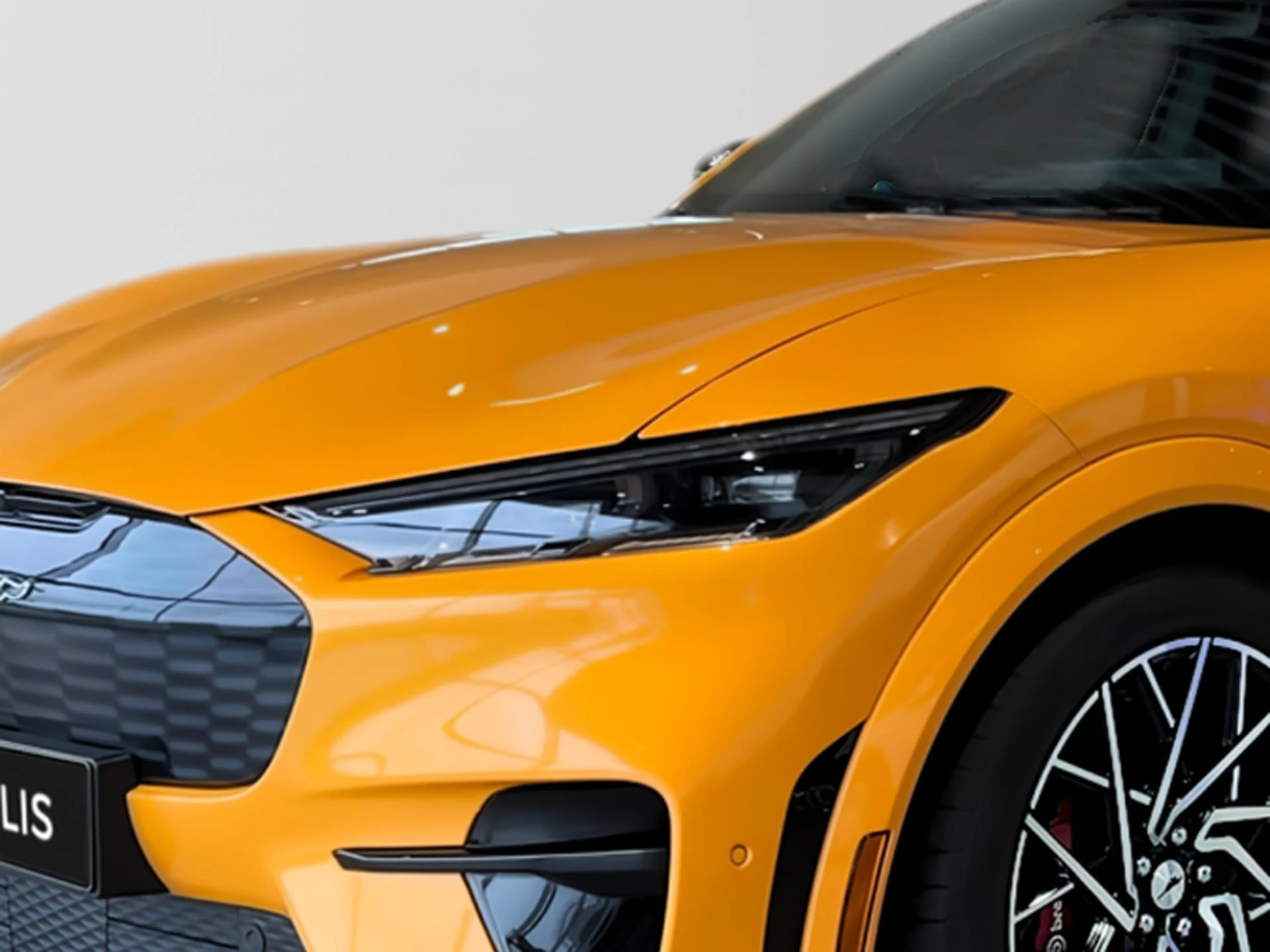 Ford-Mustang Mach-E-image-10