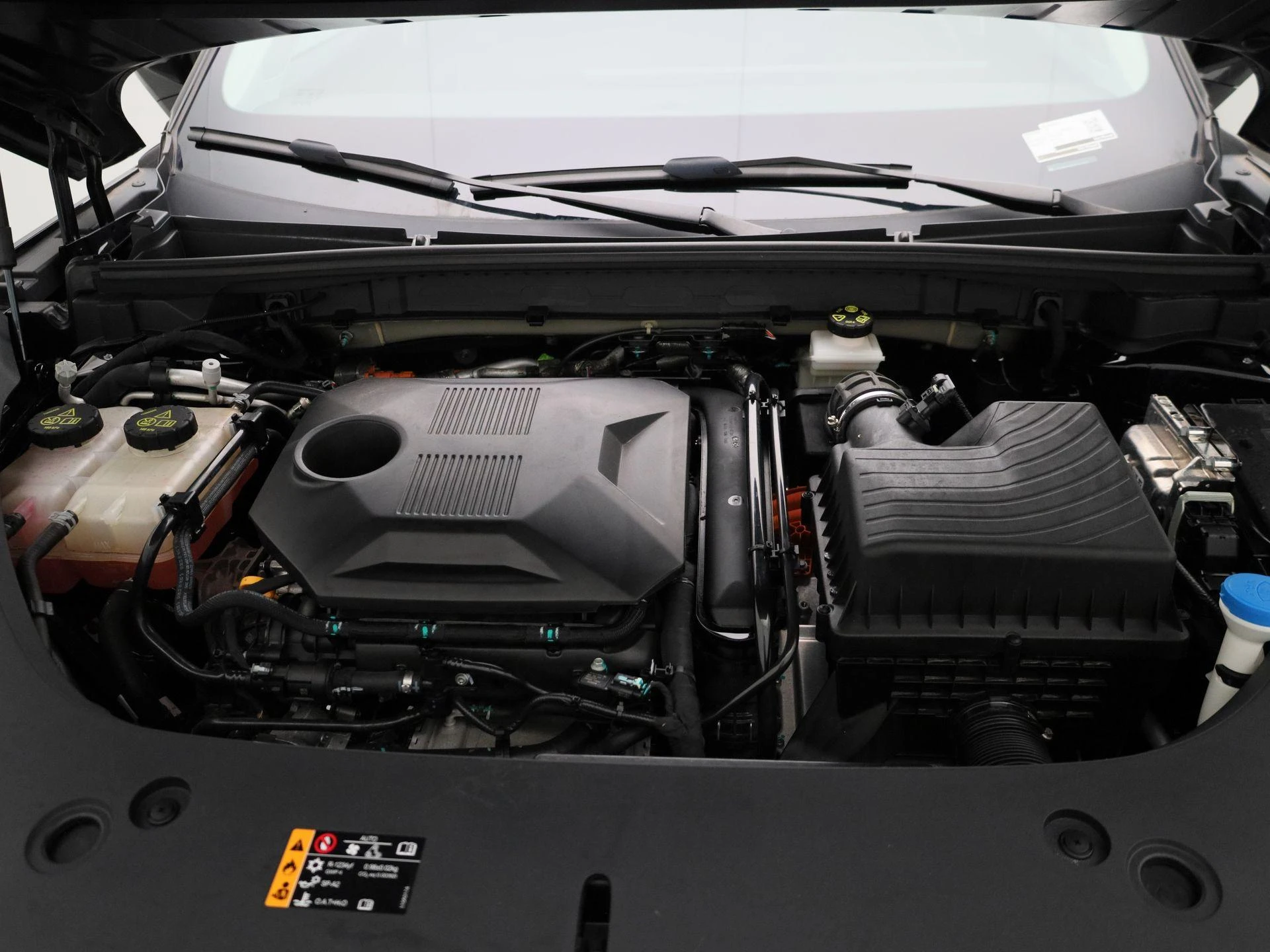MG-HS-image-34