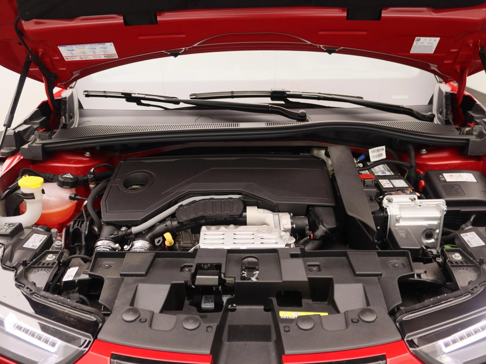 Alfa Romeo Junior 1.2 Turbo Hybrid Ibrida Sport Speciale