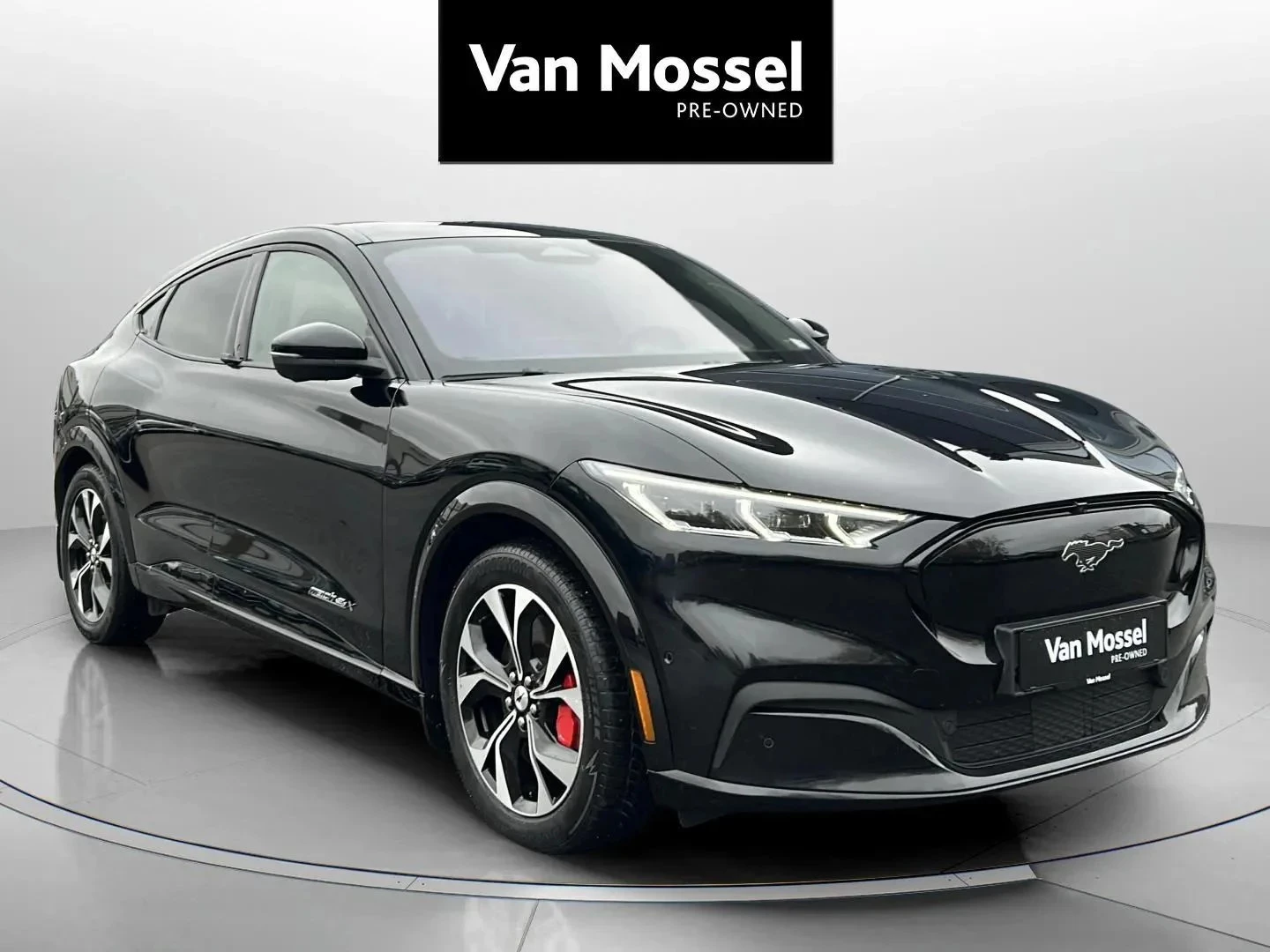 Ford-Mustang Mach-E-image-2