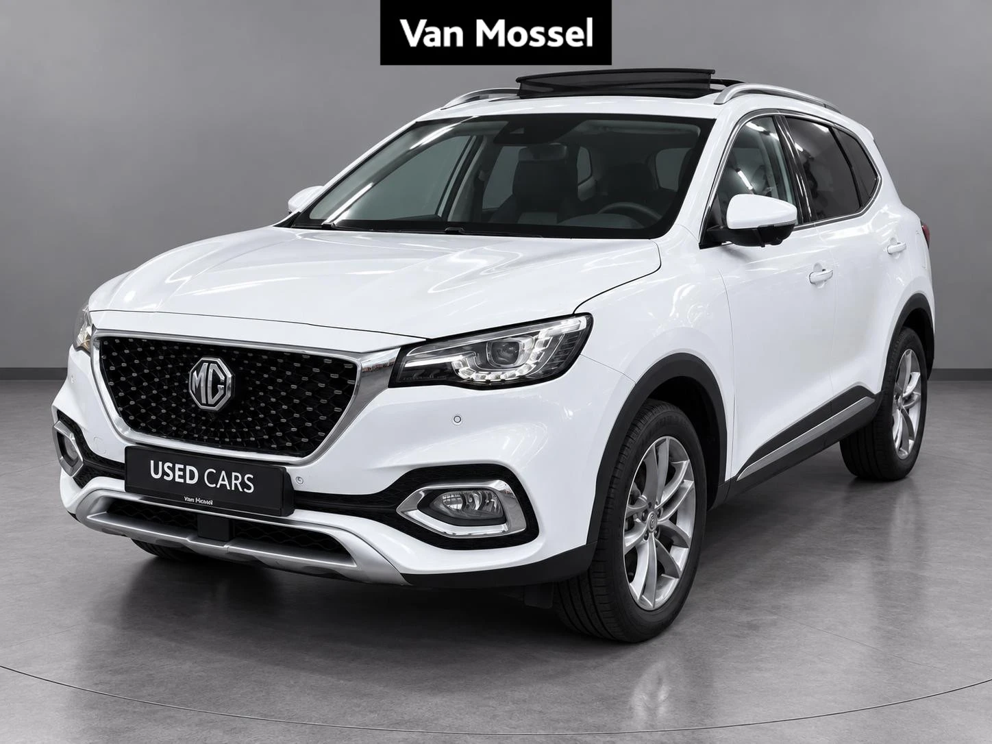 MG-EHS-image-0