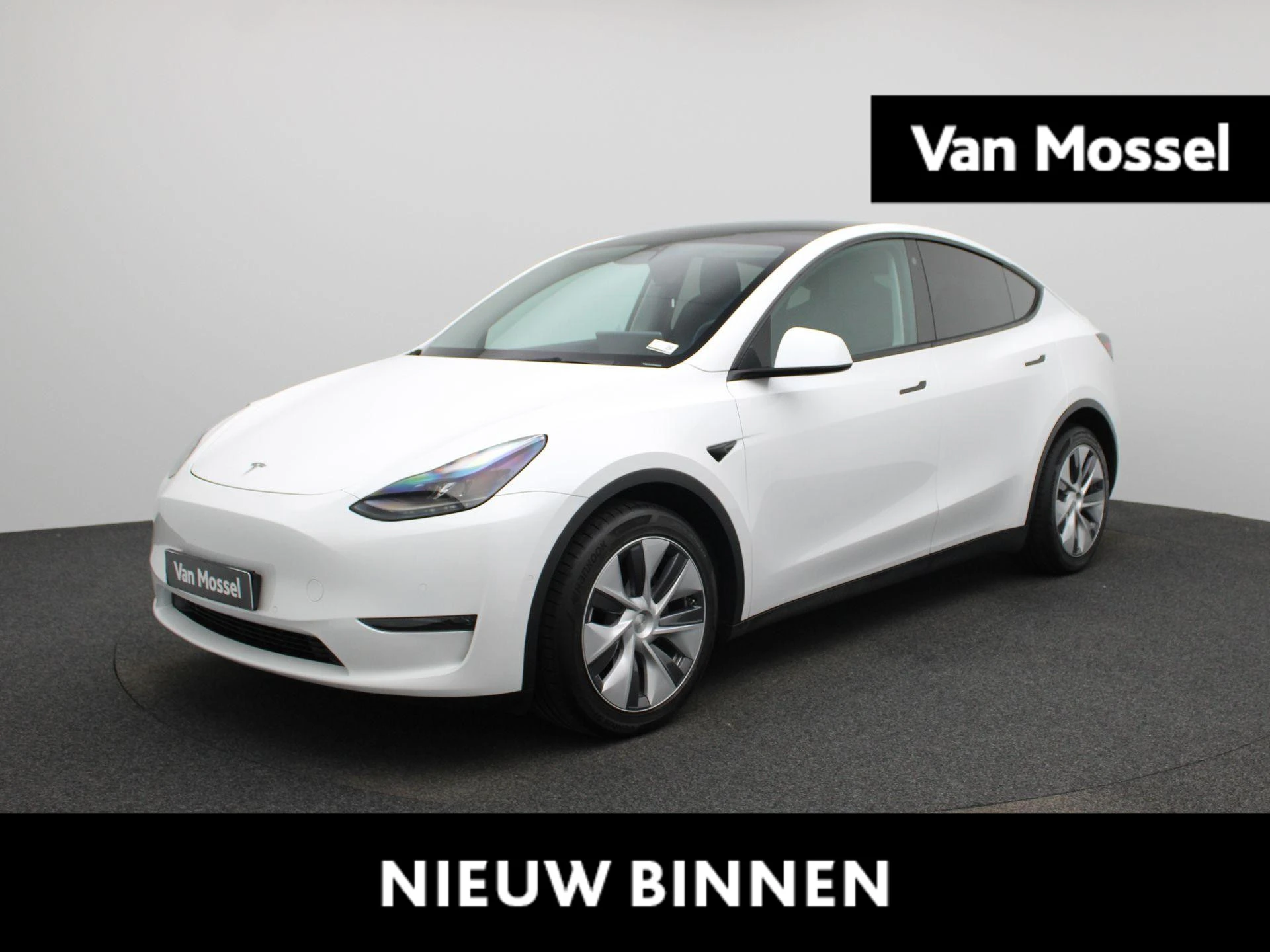 Tesla-Model Y-image-0