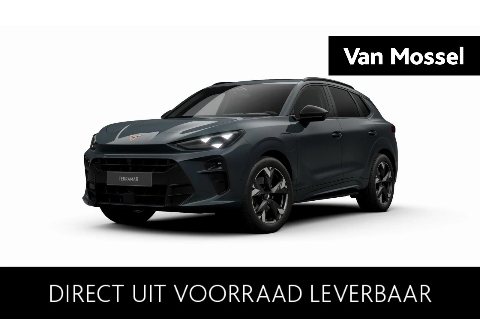 CUPRA-Terramar-image-0