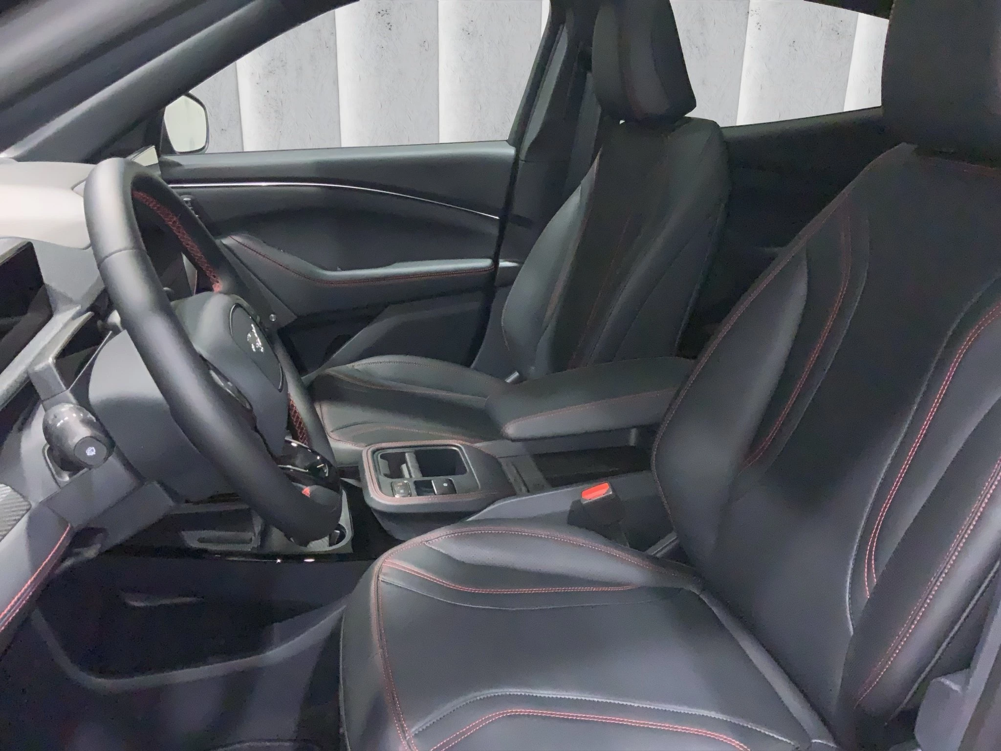 Ford-Mustang Mach-E-image-9