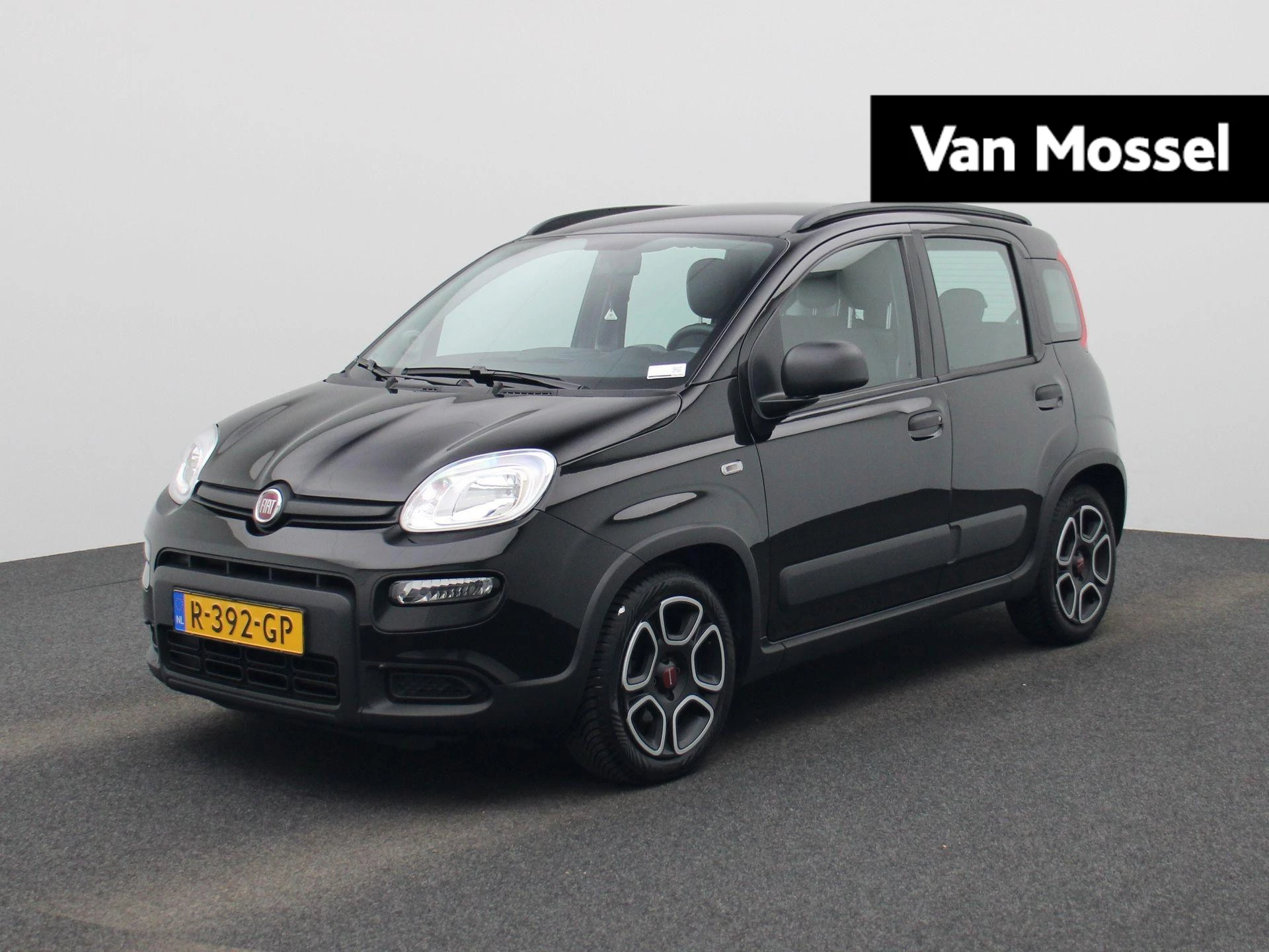 Fiat-Panda-image-0